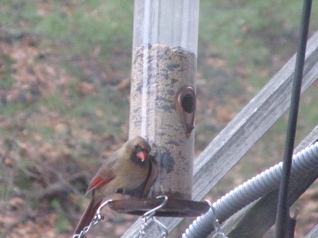 Additional Image 3