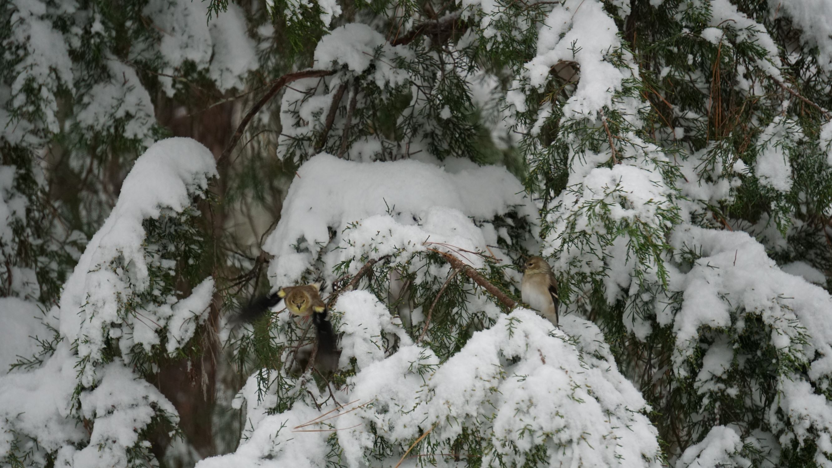 Additional Image 4