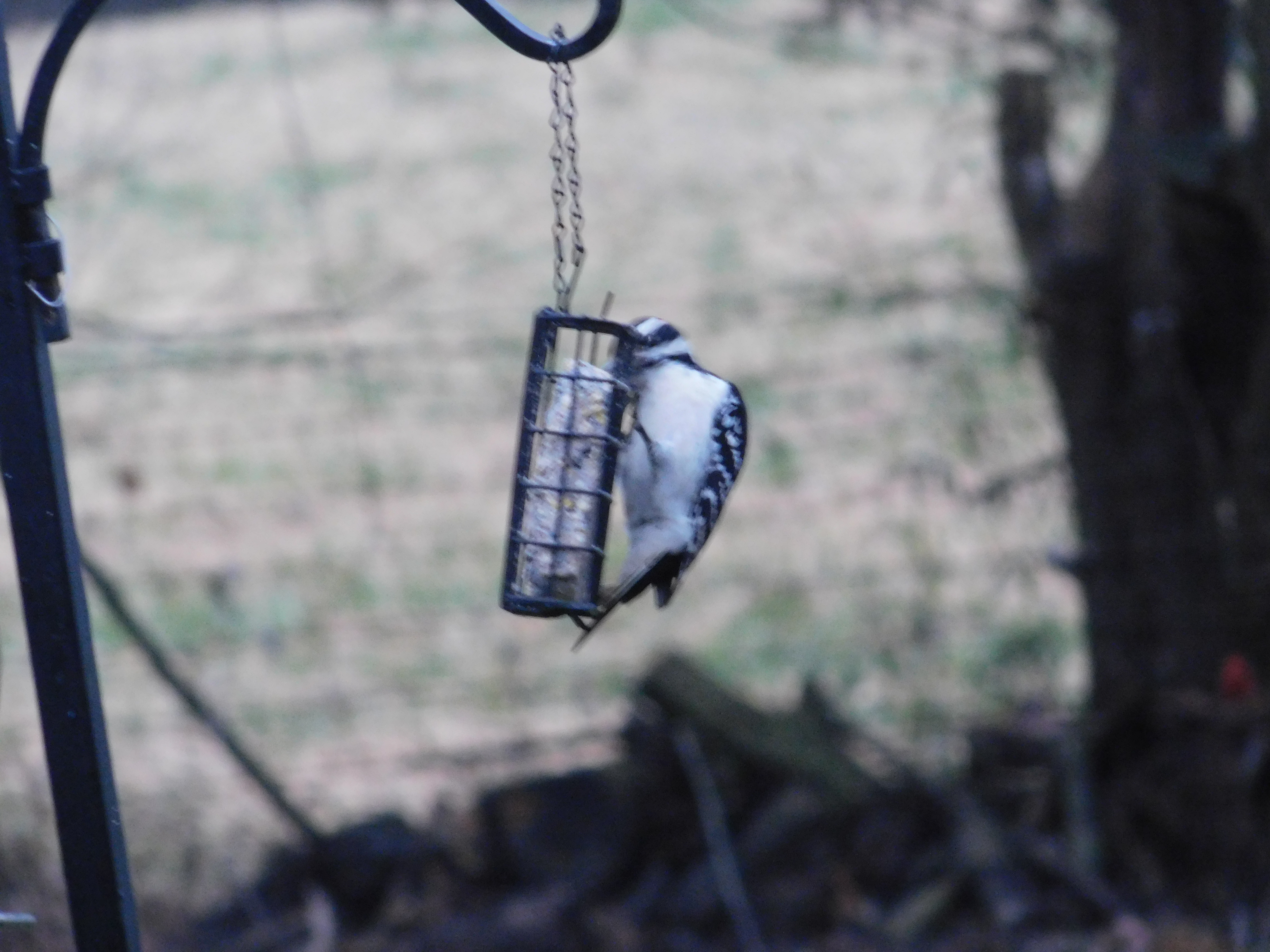 Additional Image 3