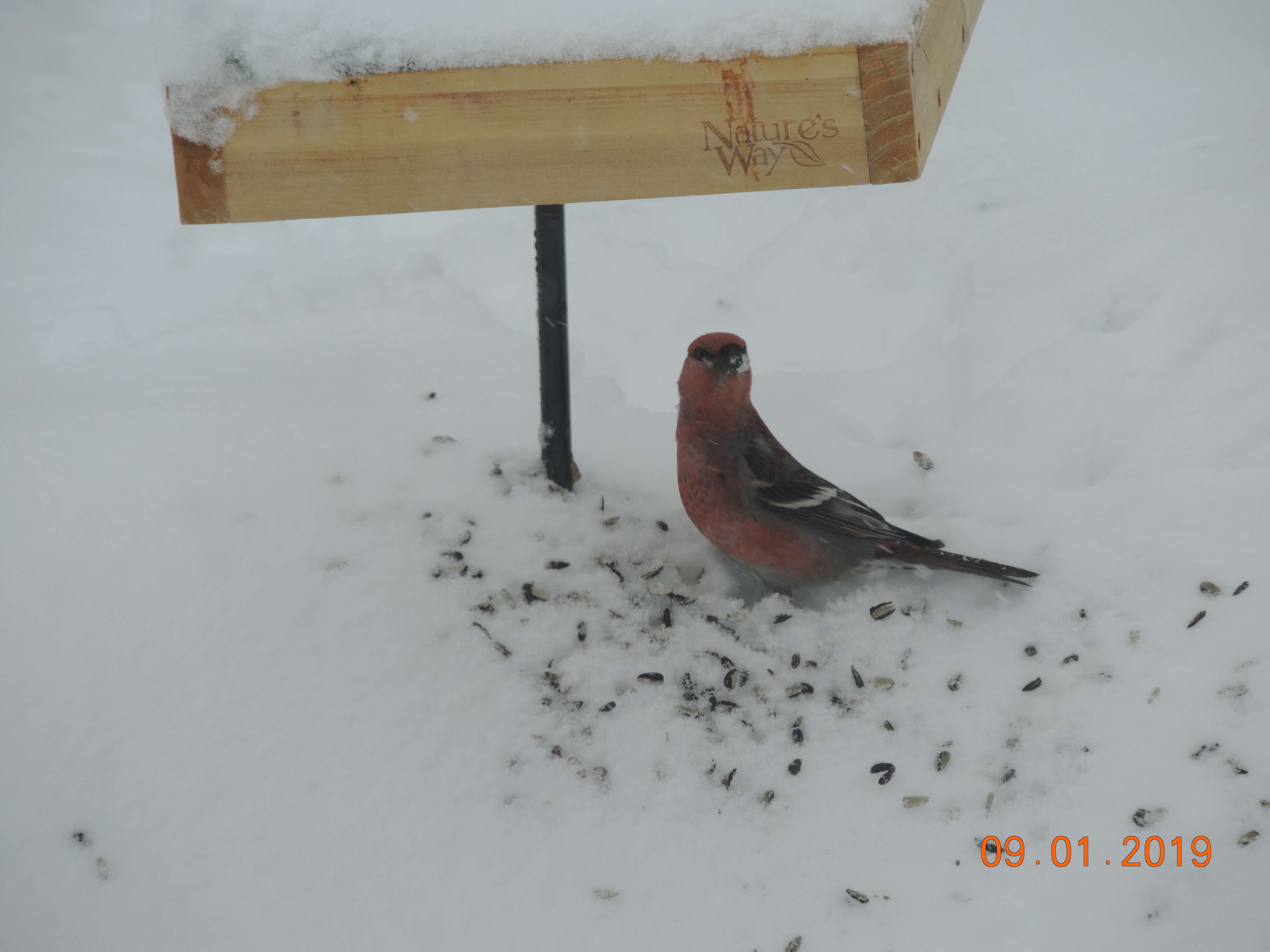 Additional Image 2