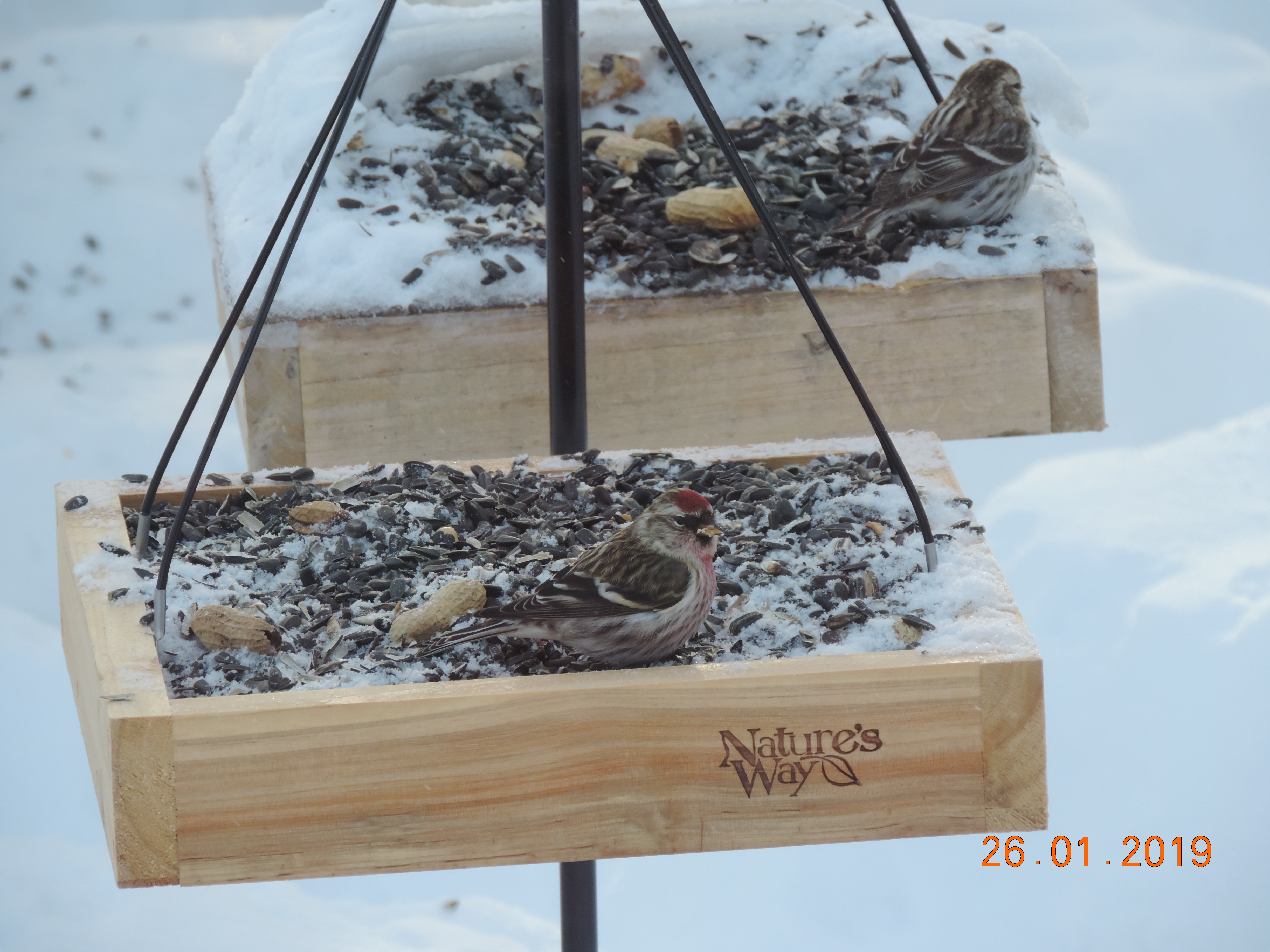 Additional Image 5