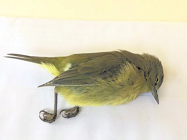 Featured Image