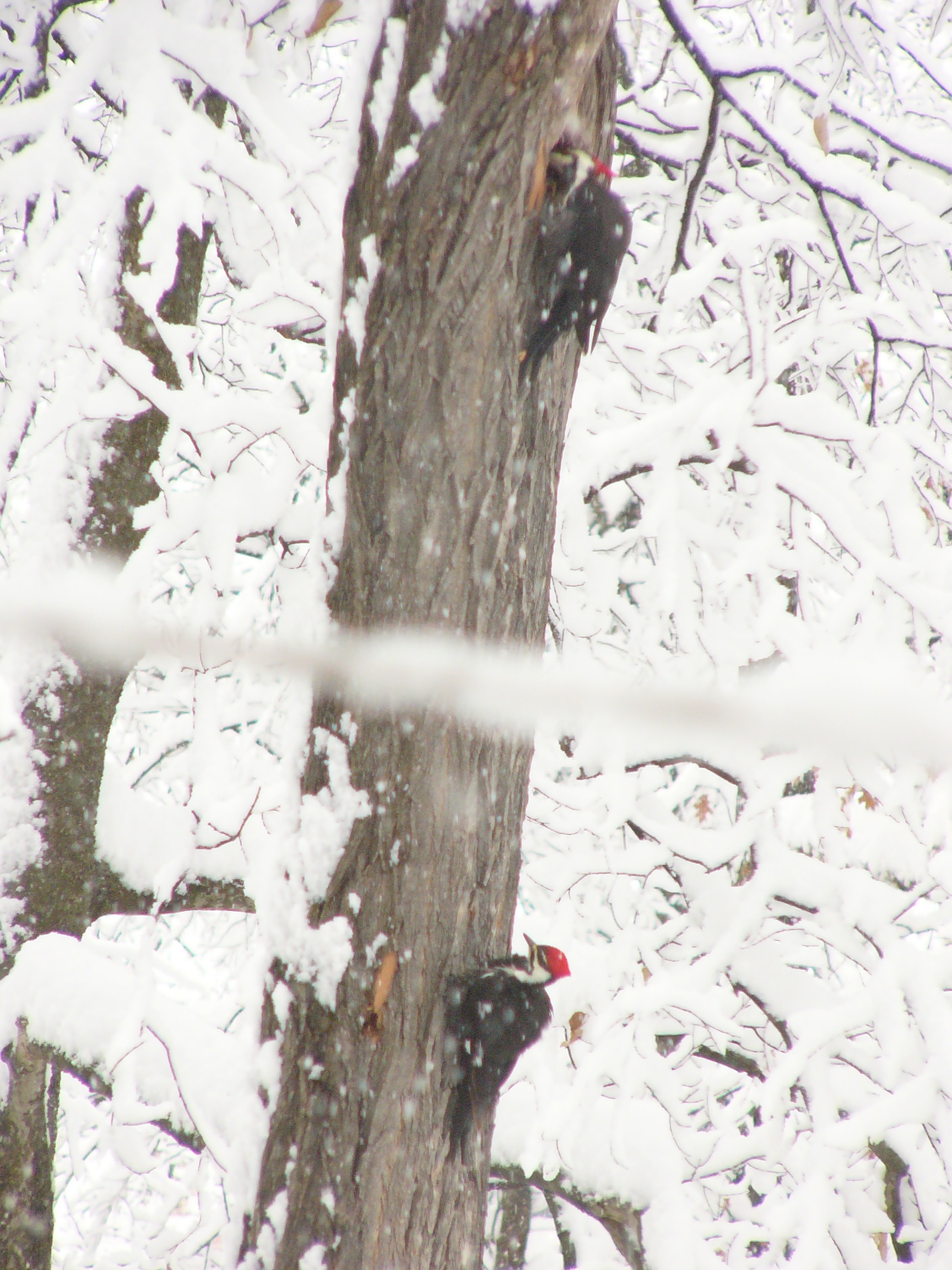 Additional Image 2