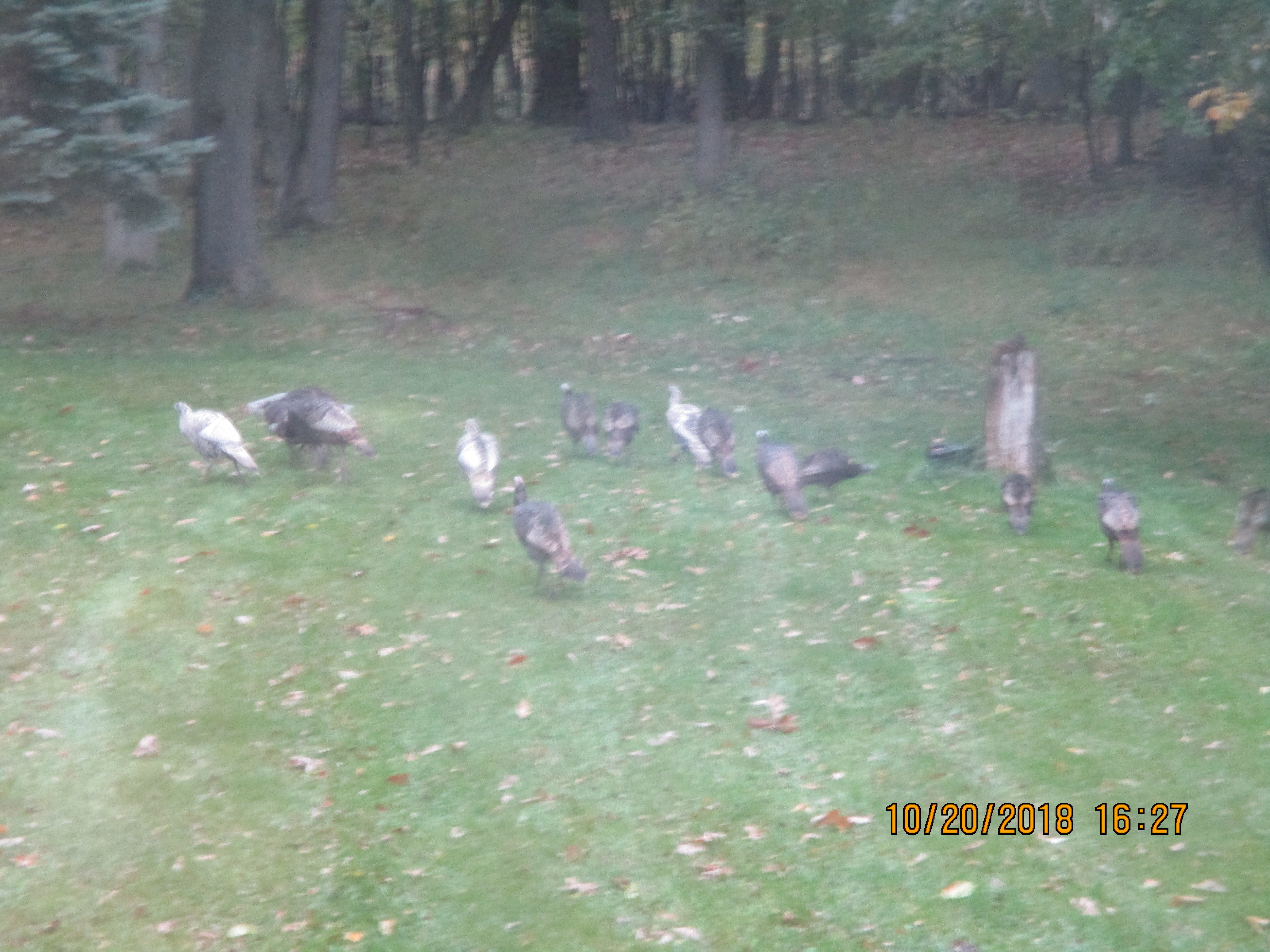 Additional Image 2