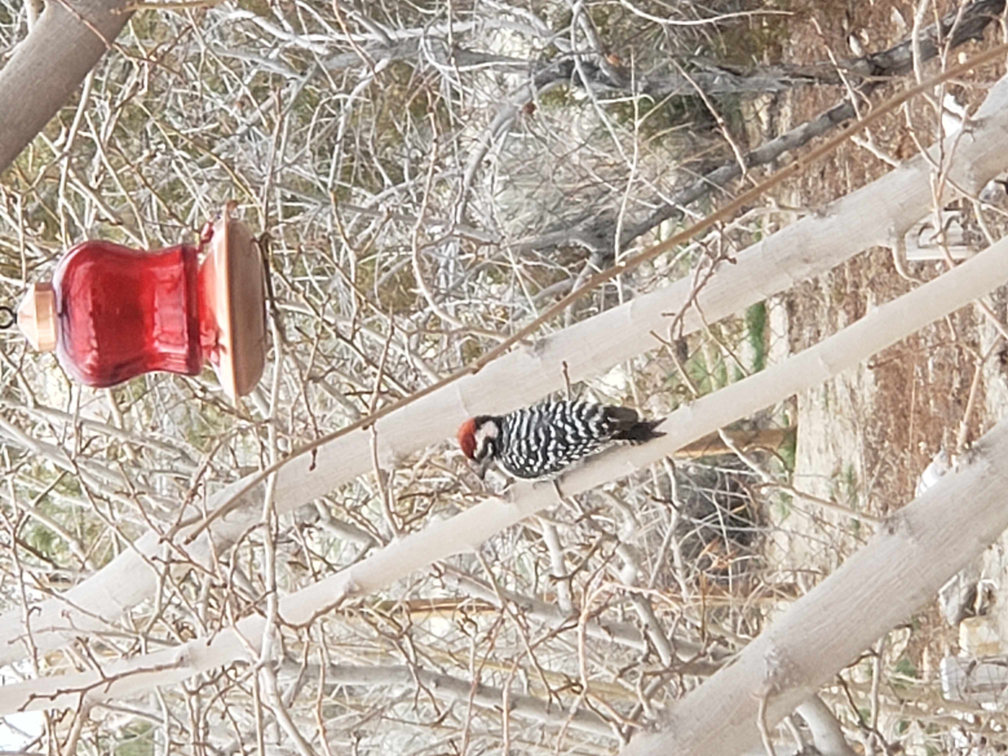 Additional Image 2