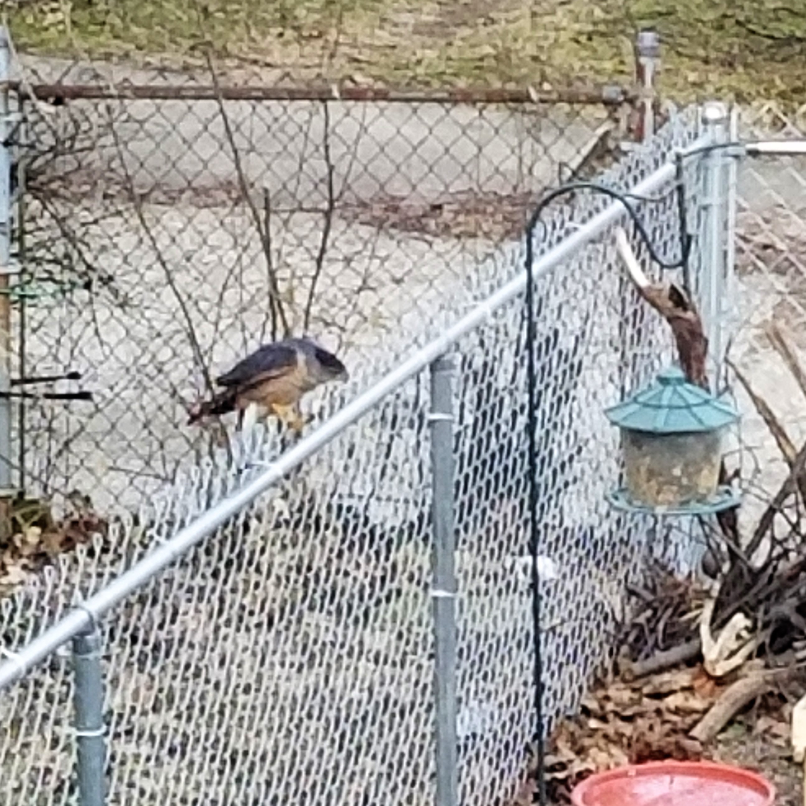 Additional Image 3