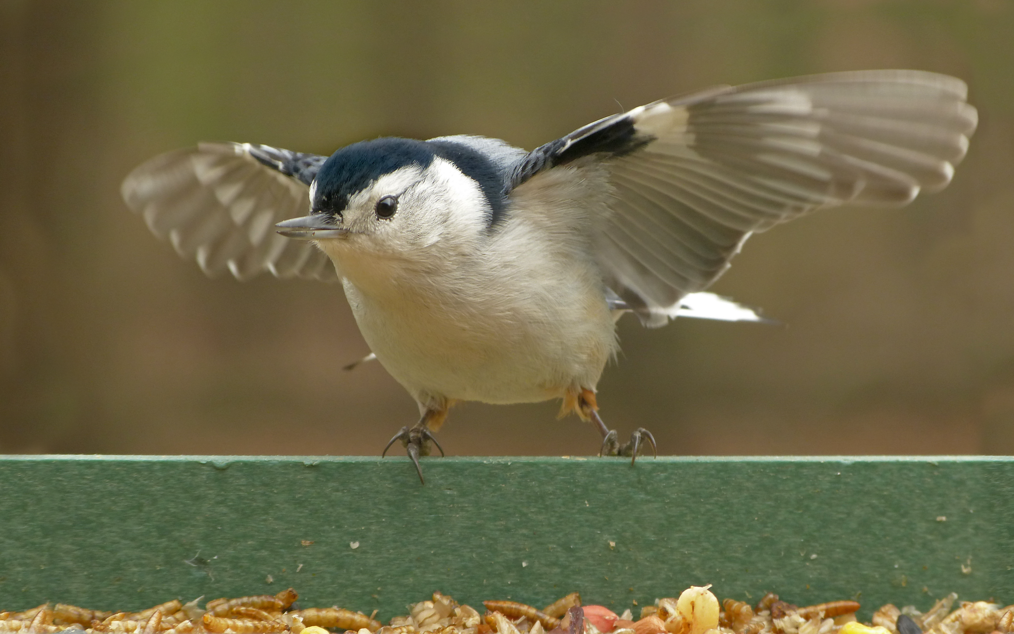 Featured Image