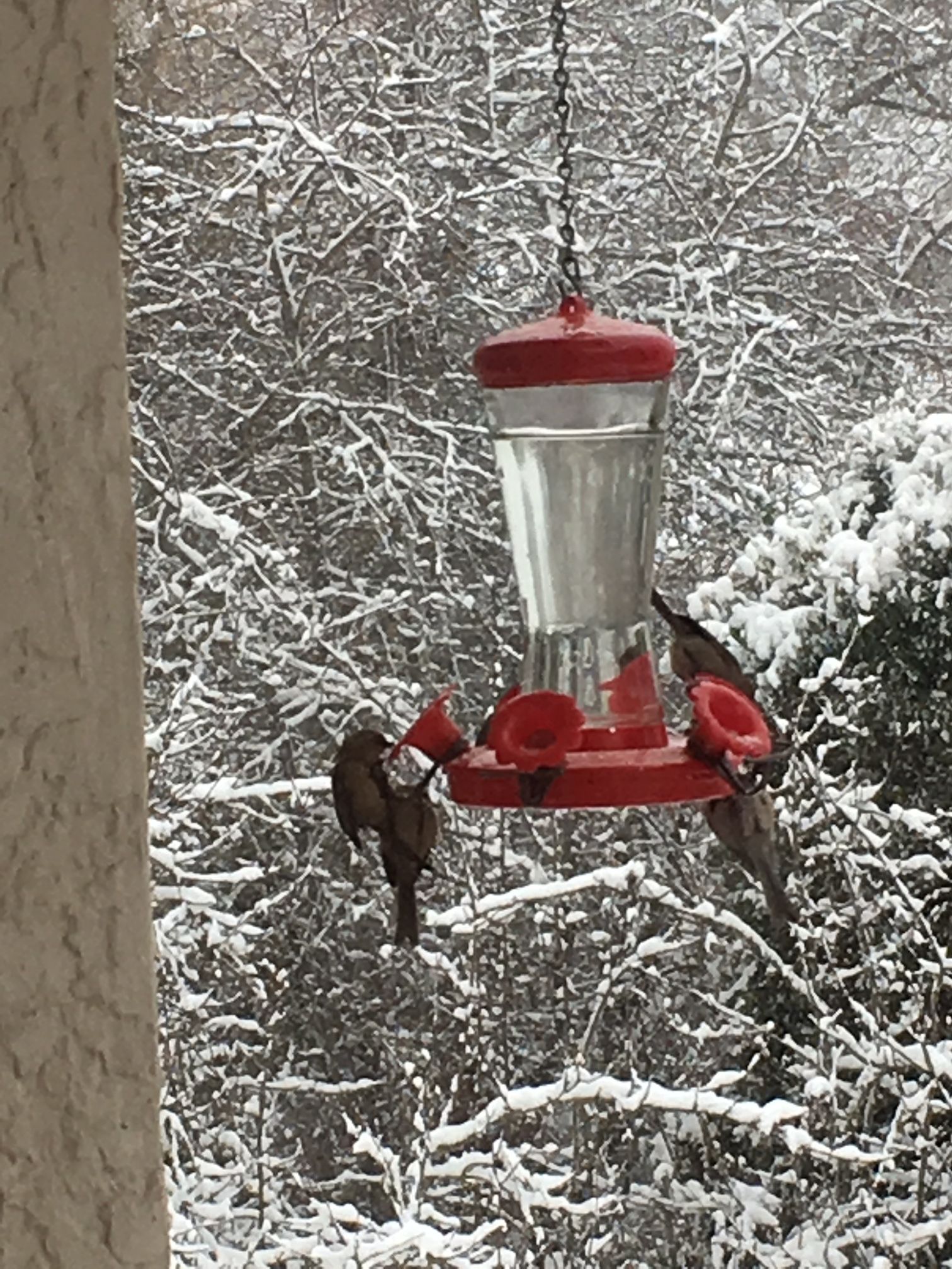 Additional Image 2