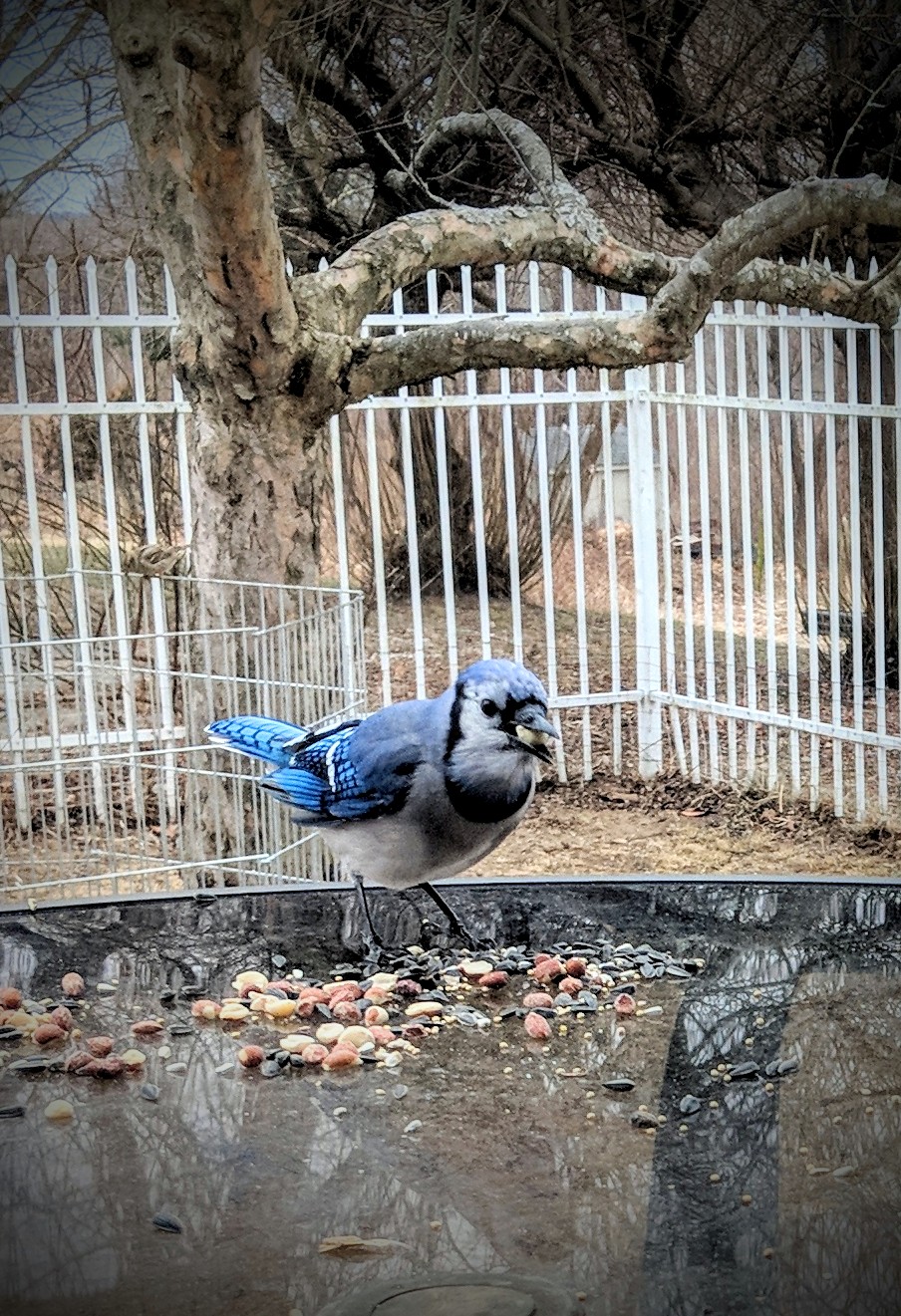Featured Image