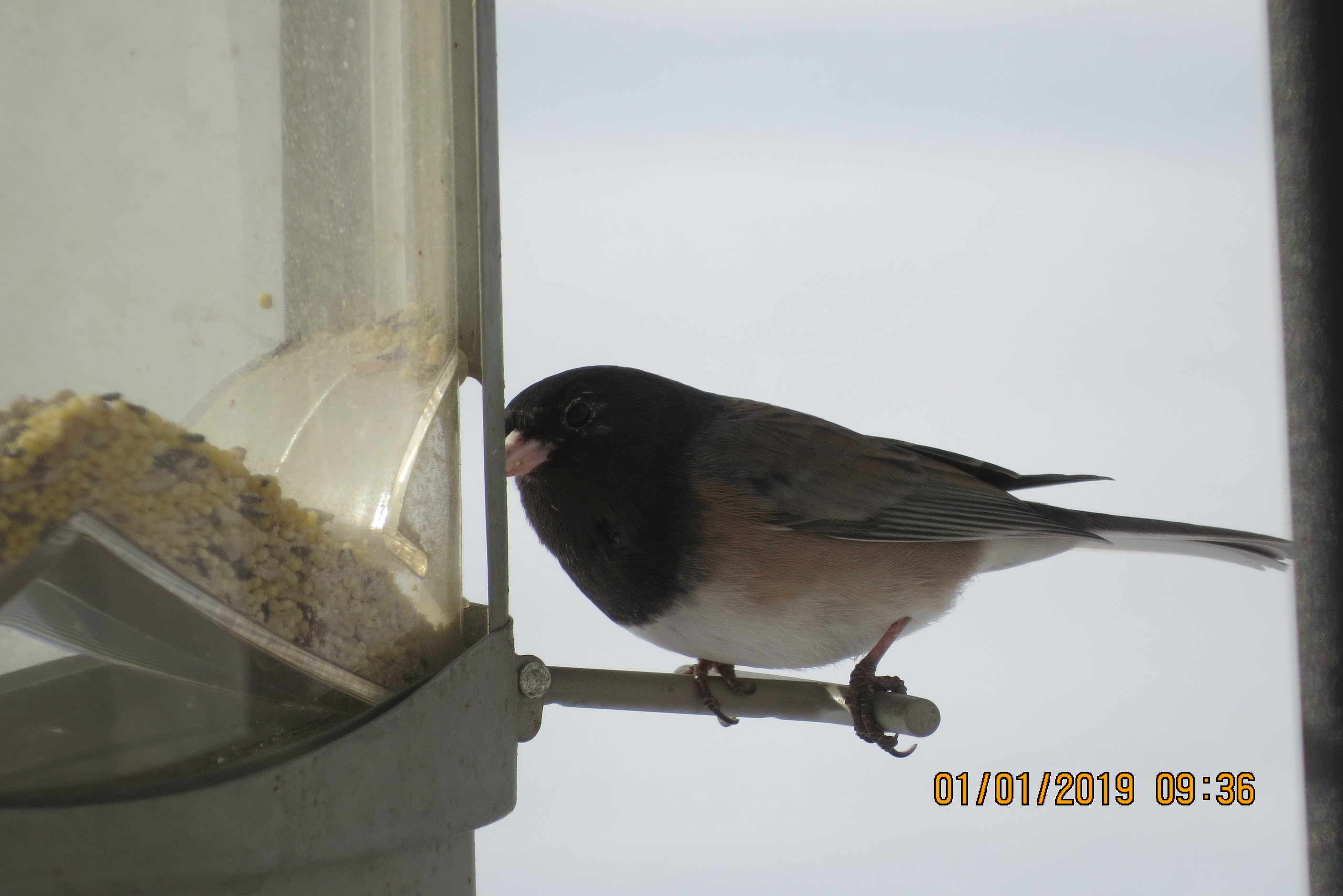 Additional Image 2