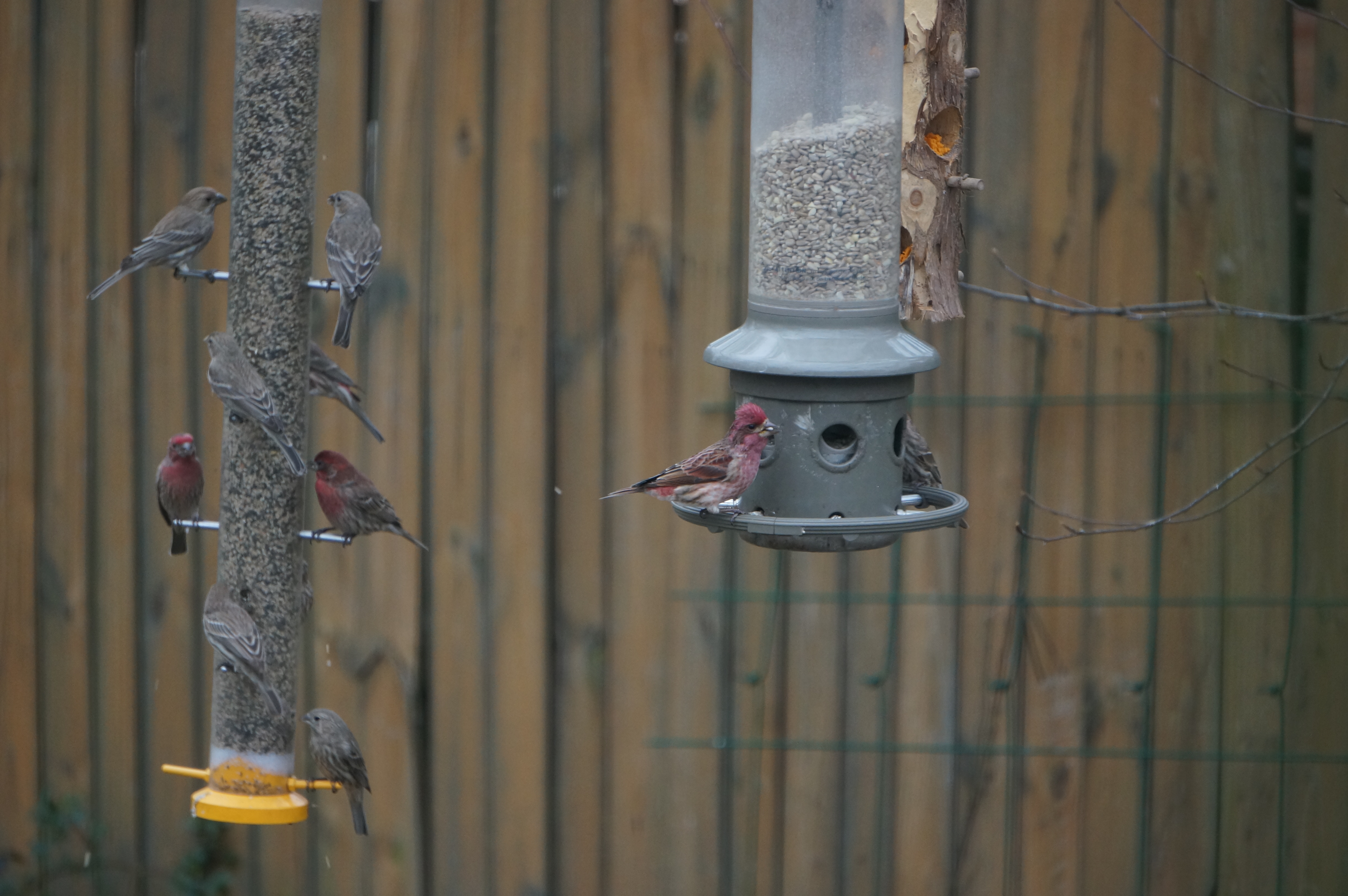Additional Image 5