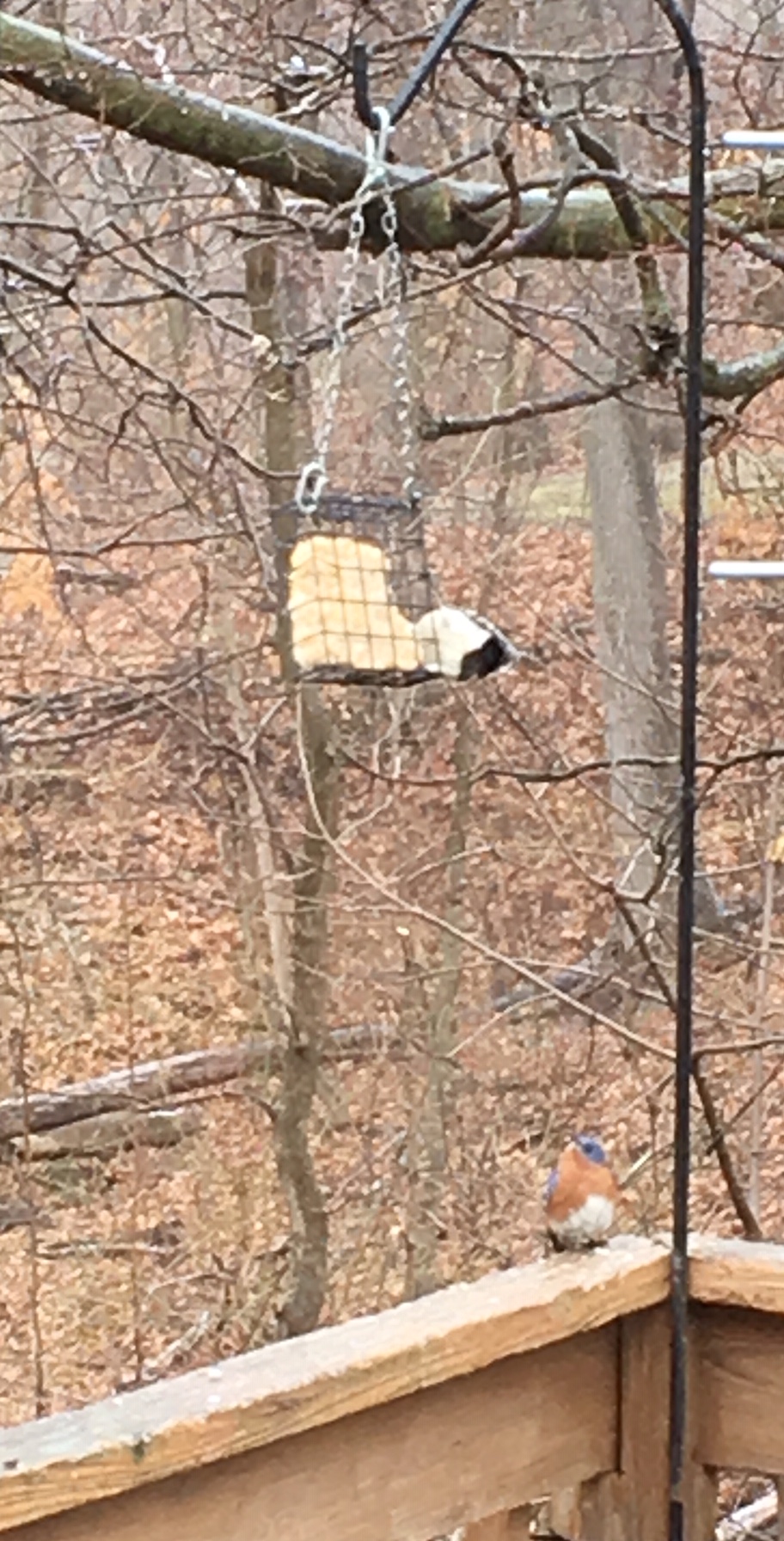 Additional Image 2
