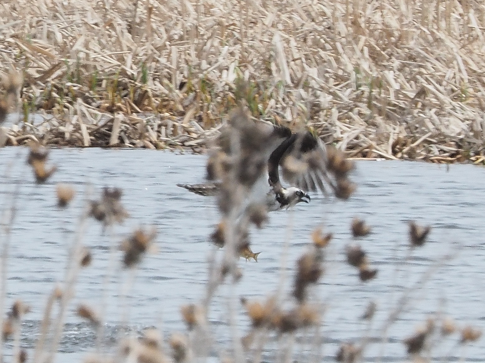 Additional Image 3