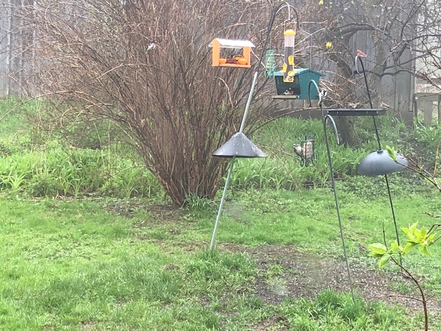 Additional Image 2