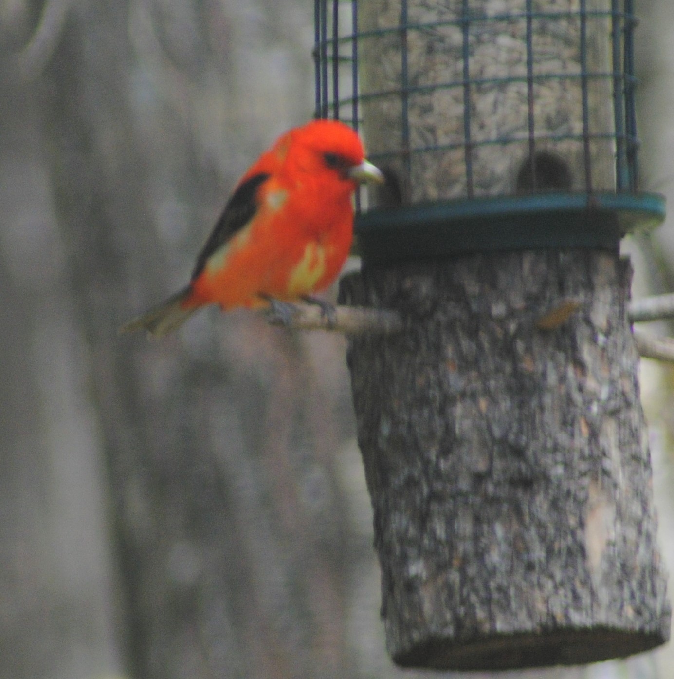 Additional Image 2