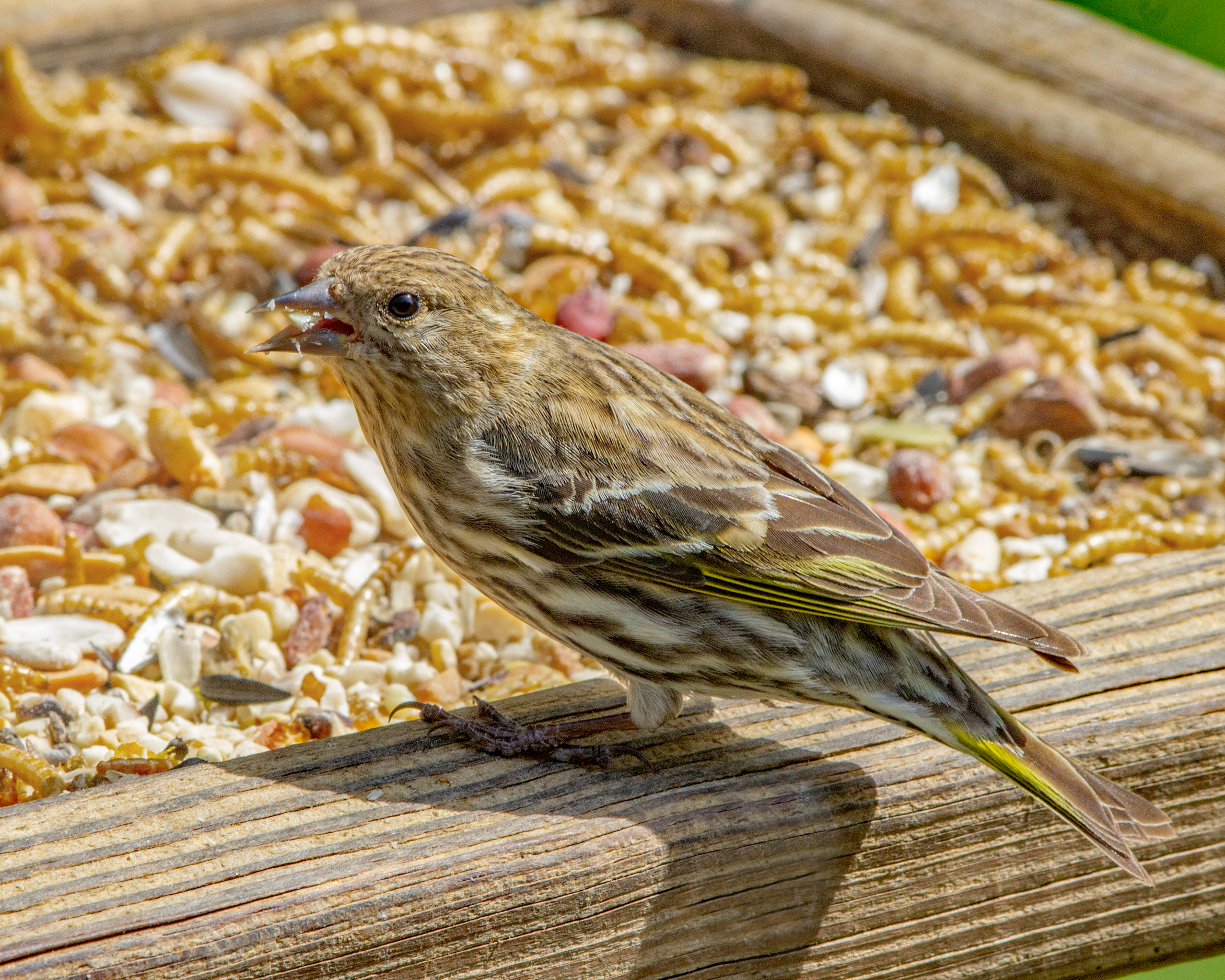 Featured Image