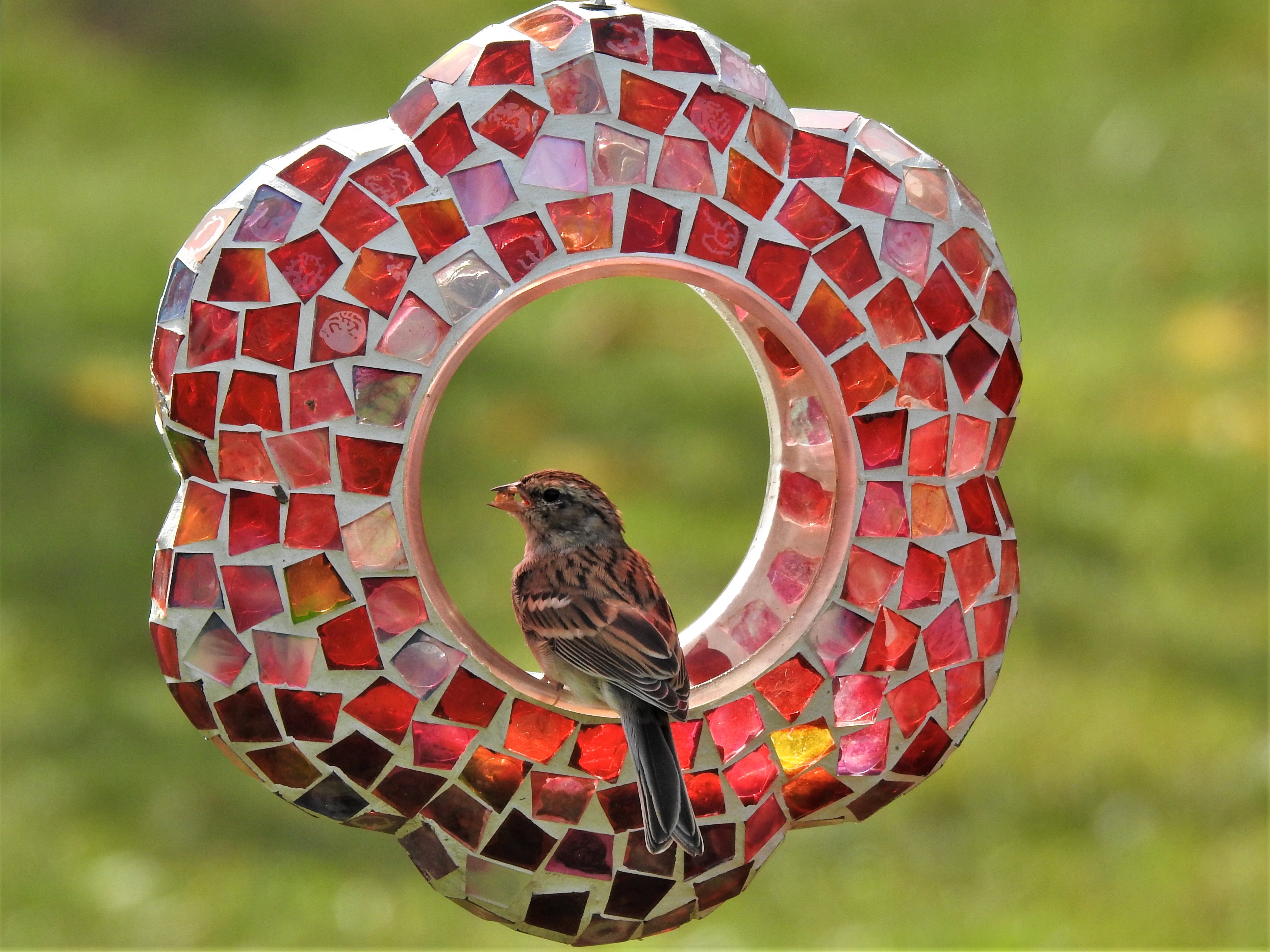 Featured Image