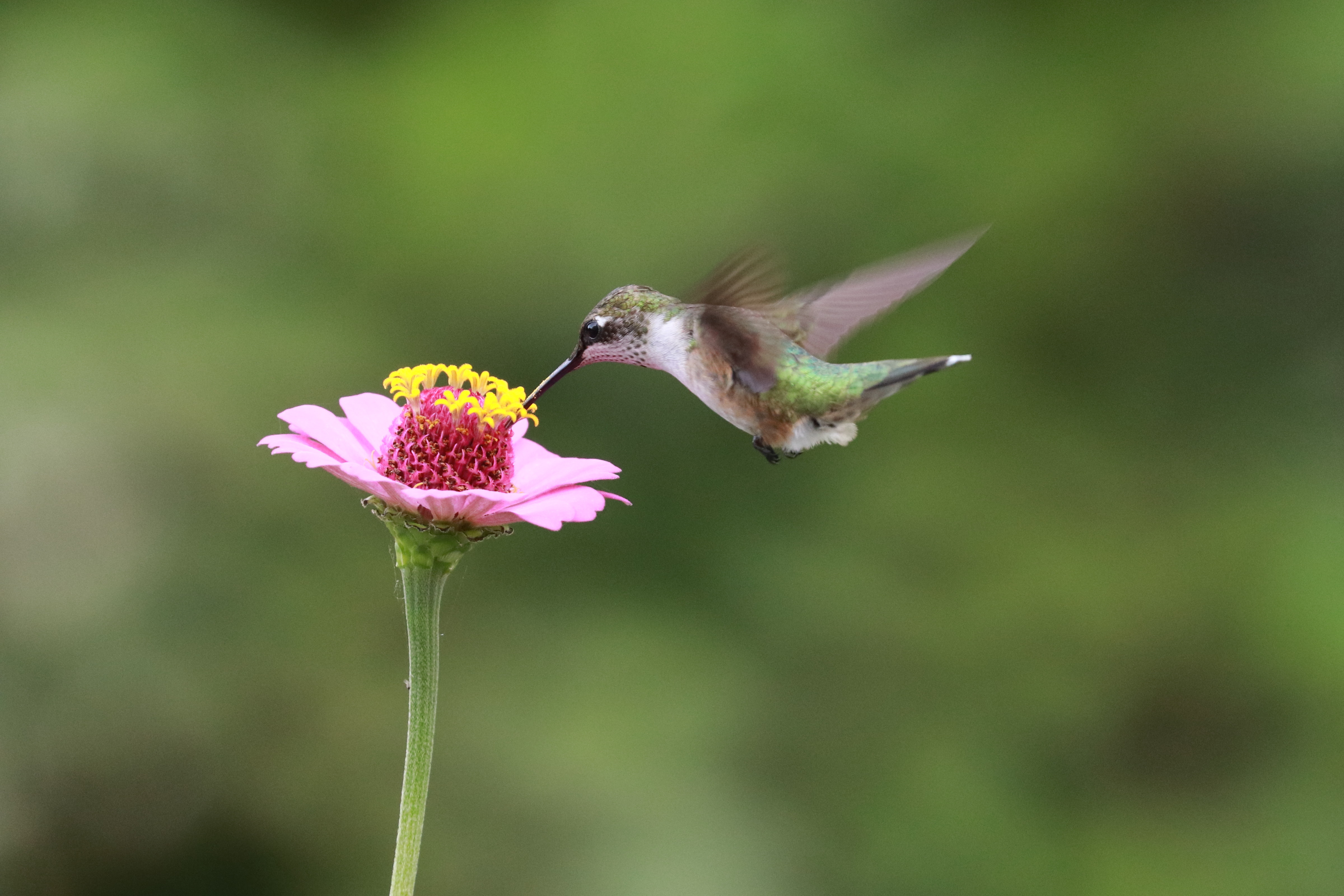Featured Image