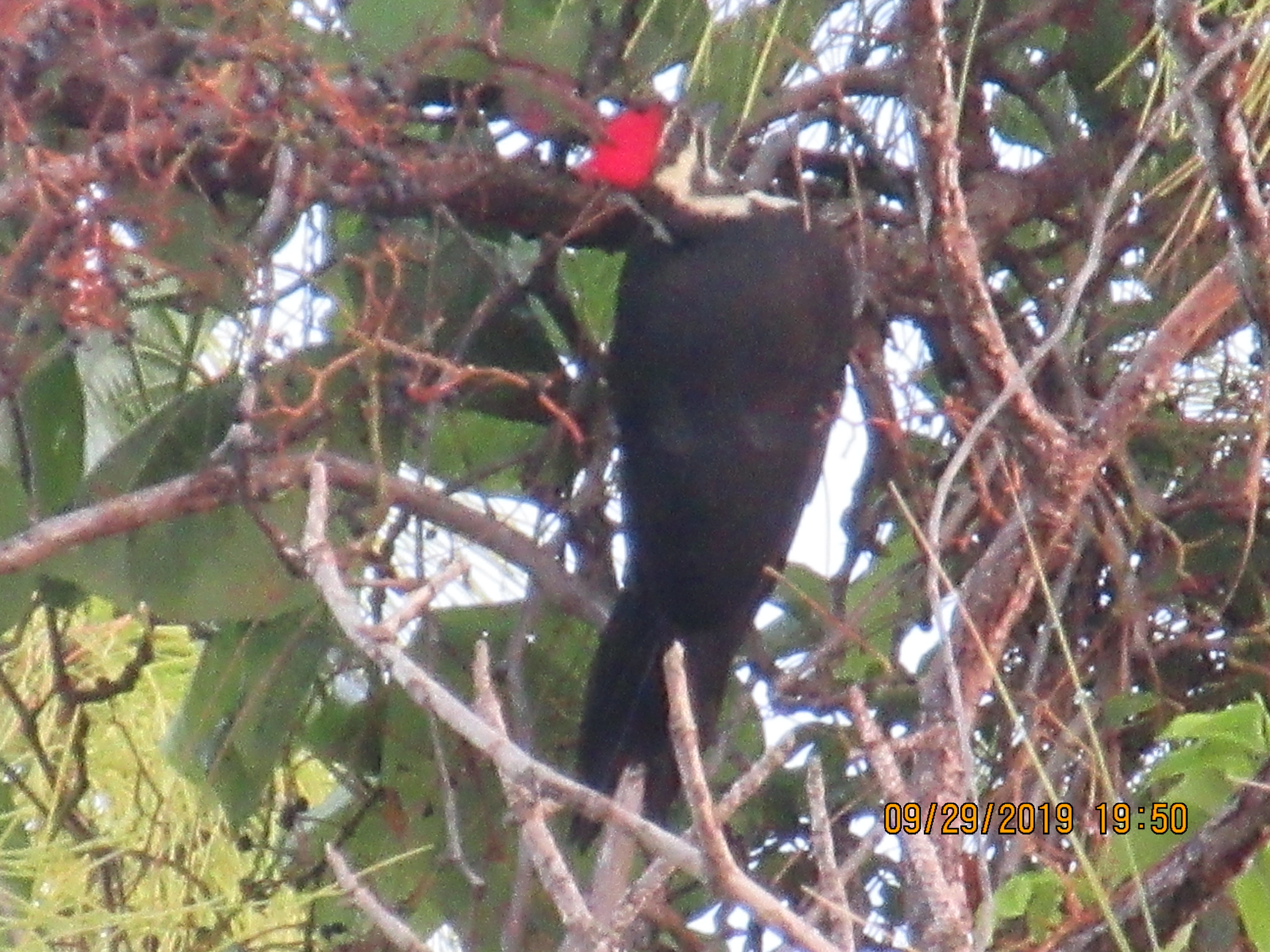 Additional Image 2