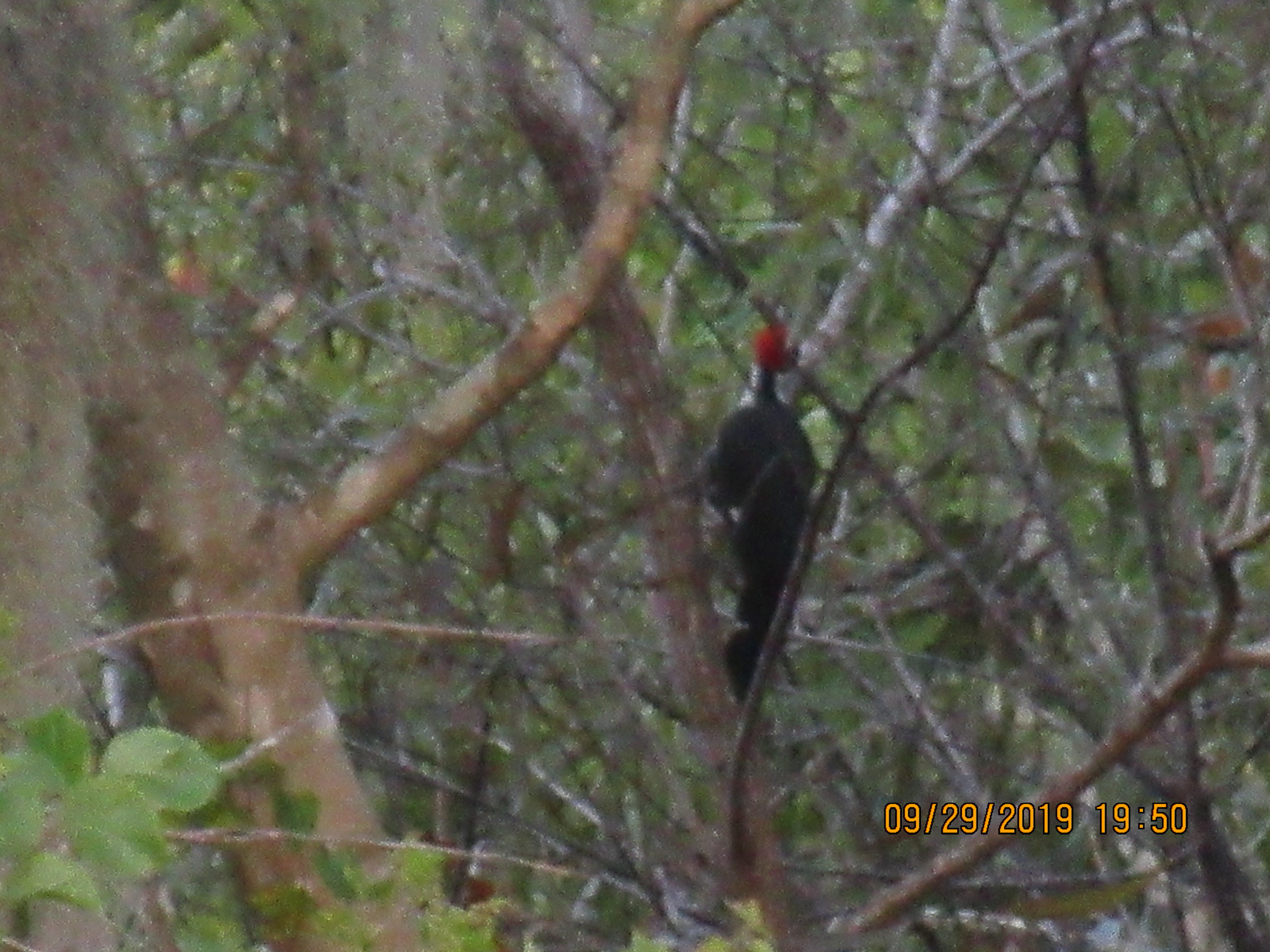 Additional Image 4