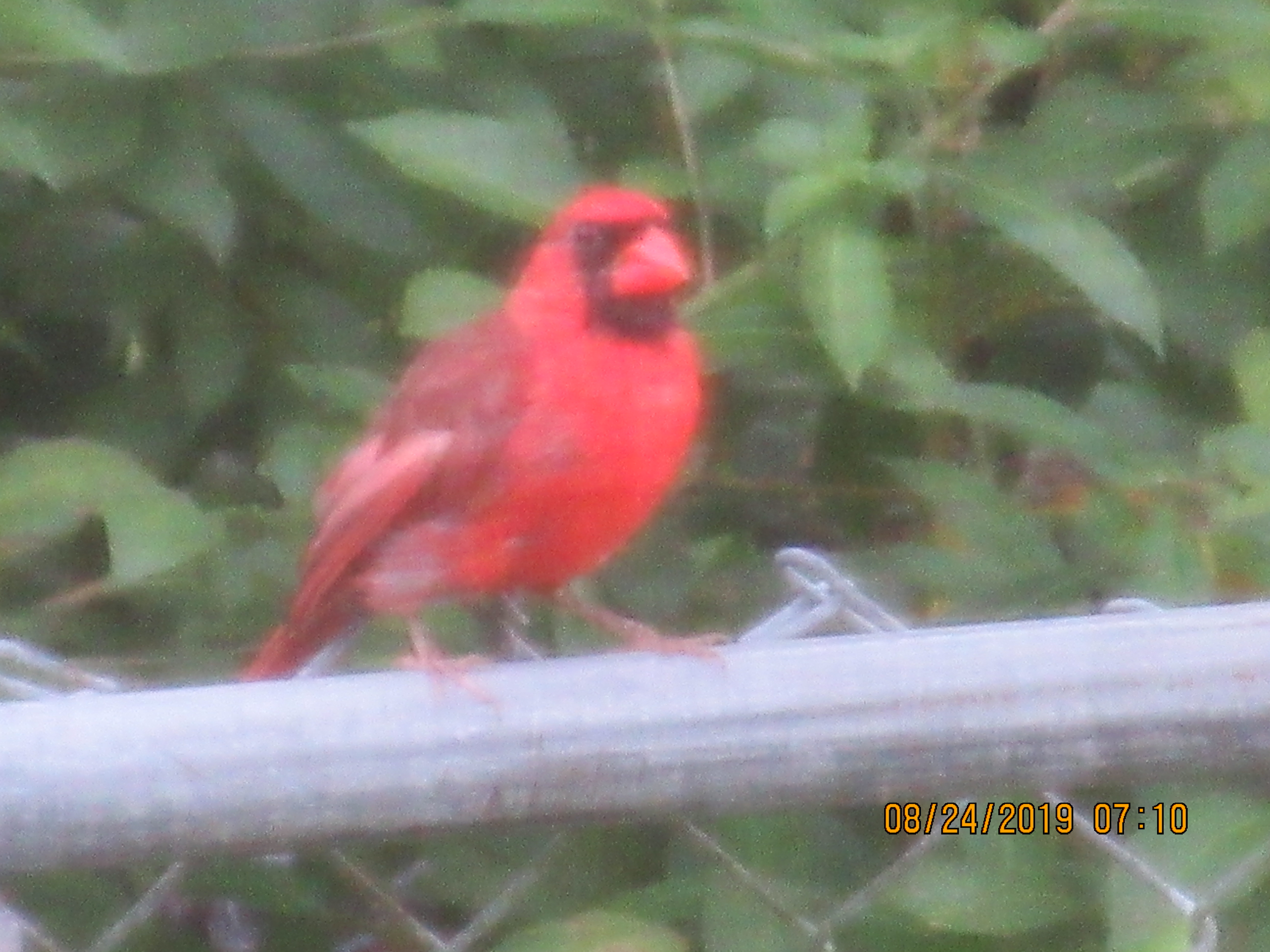 Additional Image 3