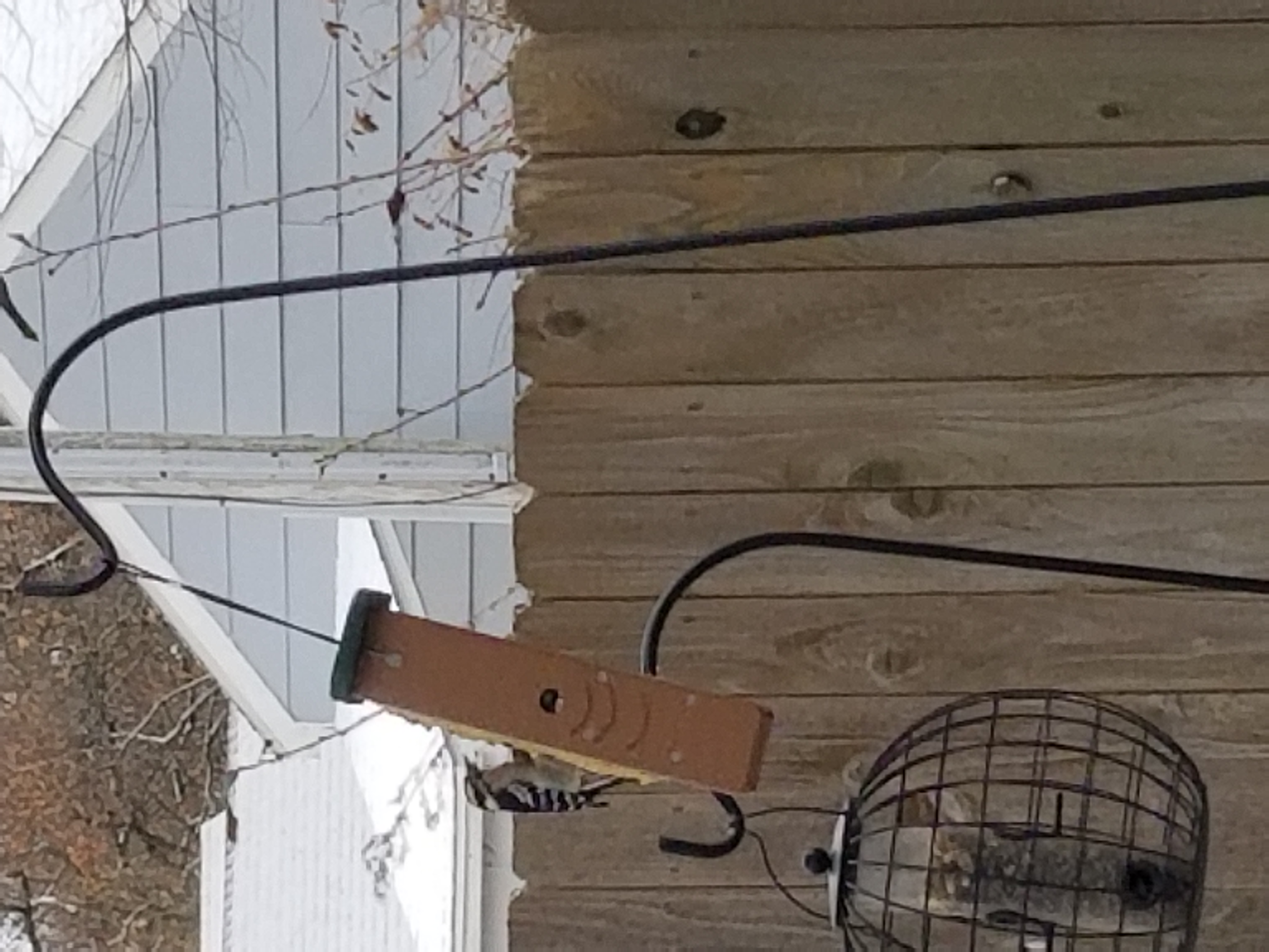 Additional Image 3