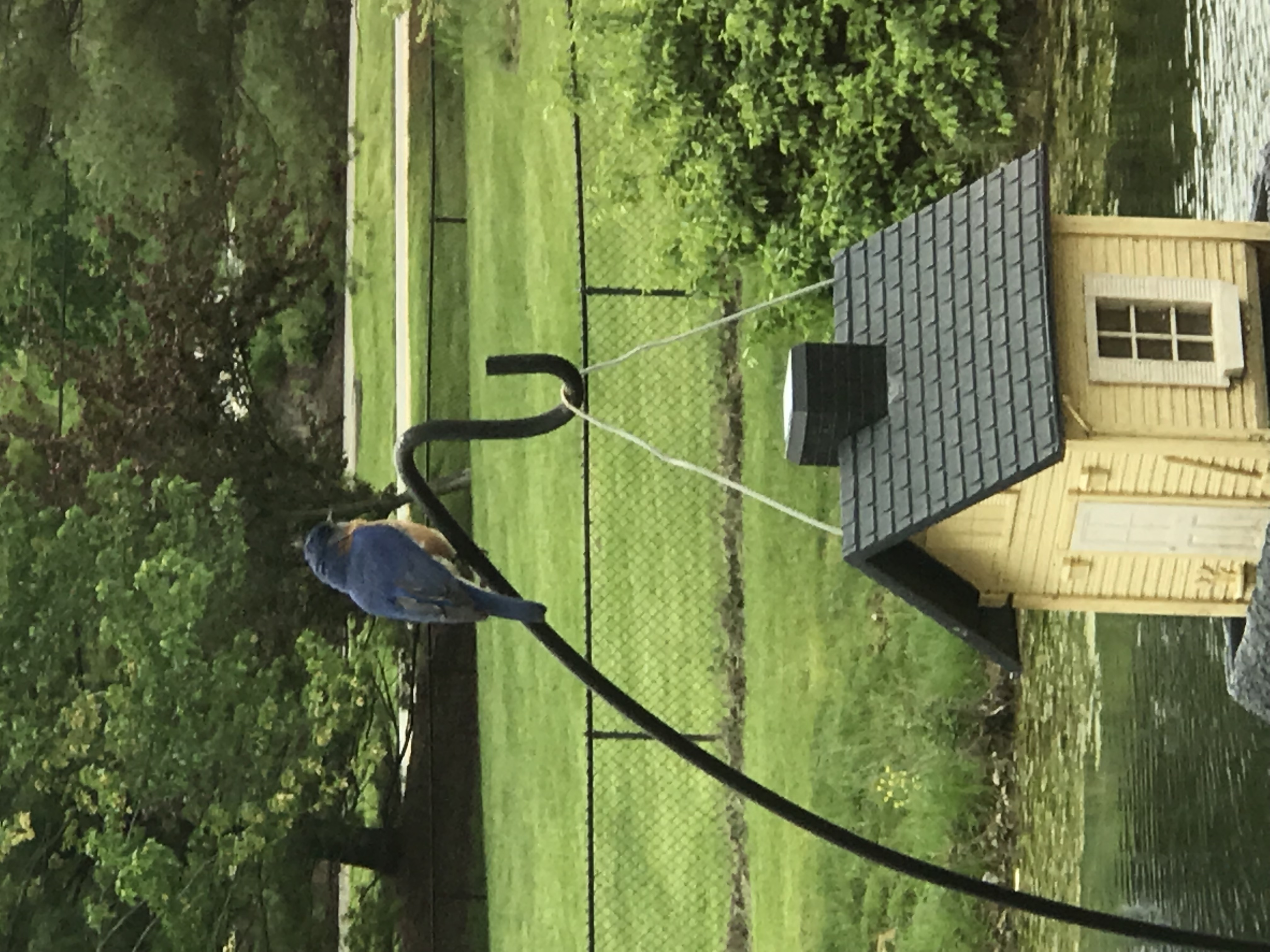 Additional Image 2