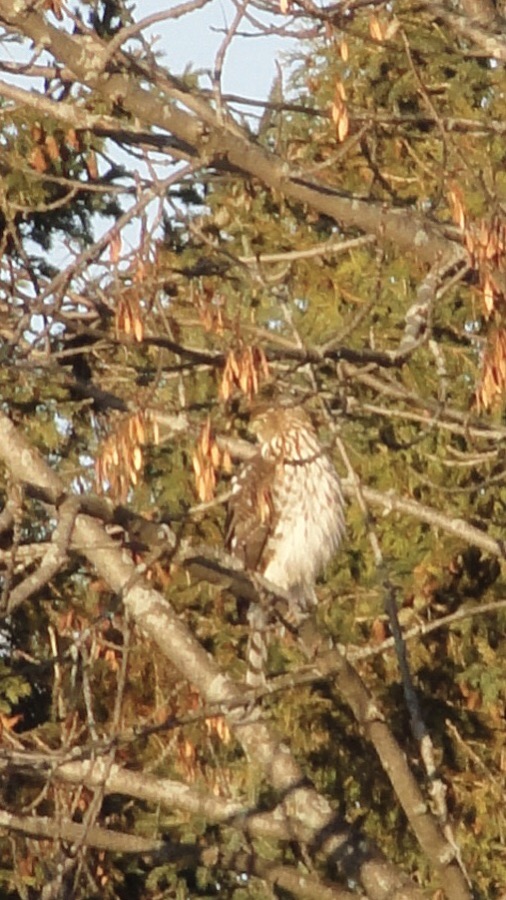 Additional Image 2