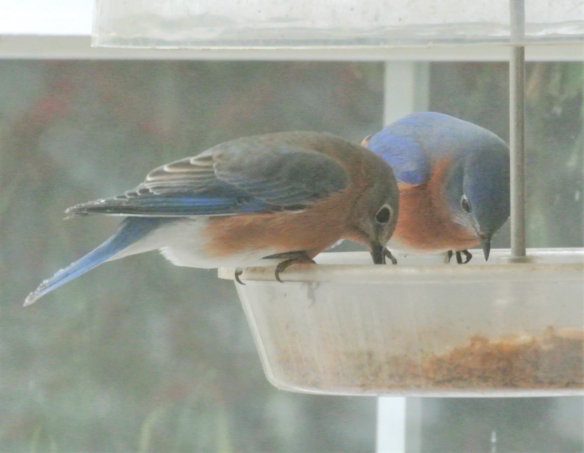 Additional Image 2