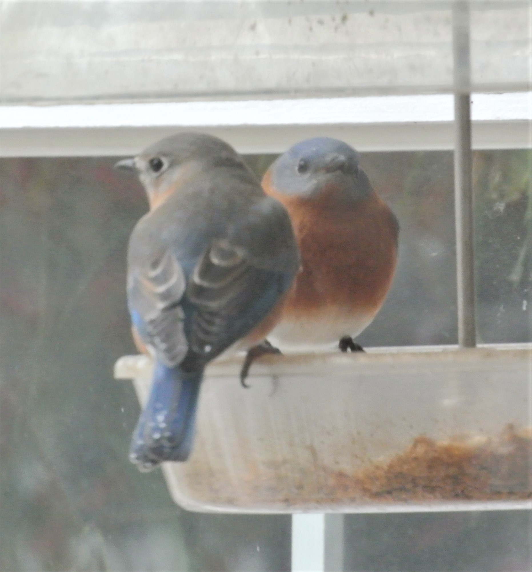 Additional Image 5