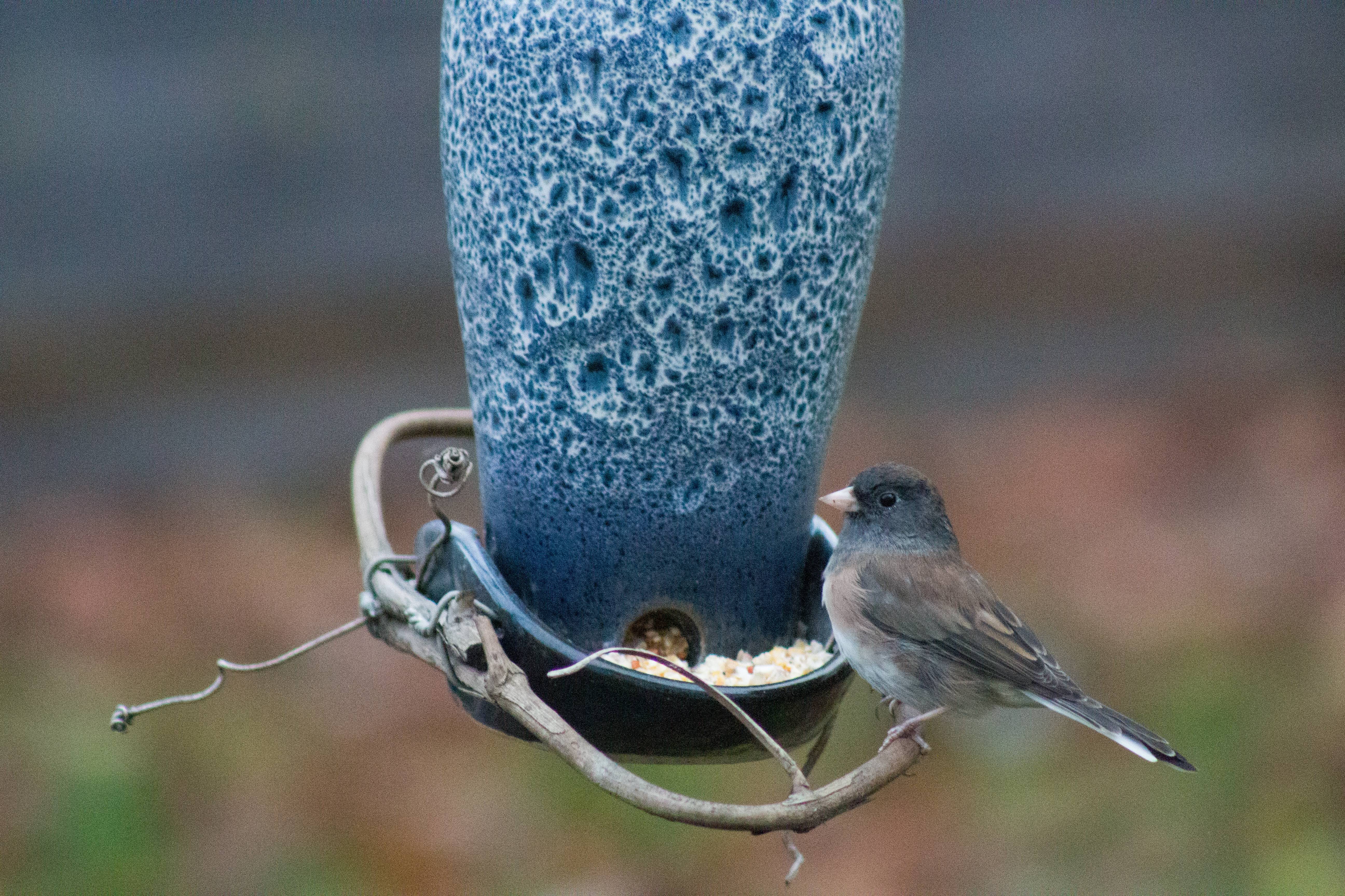 Additional Image 3