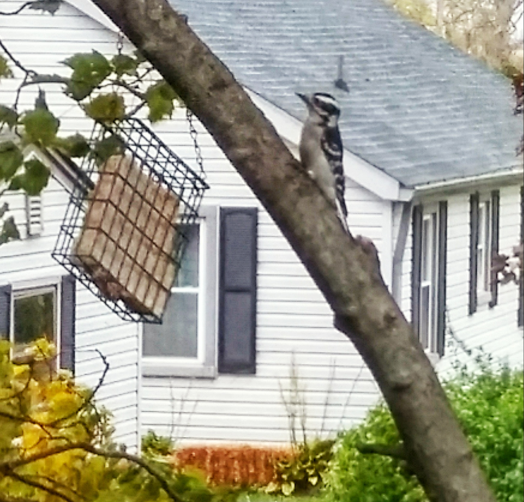 Additional Image 2