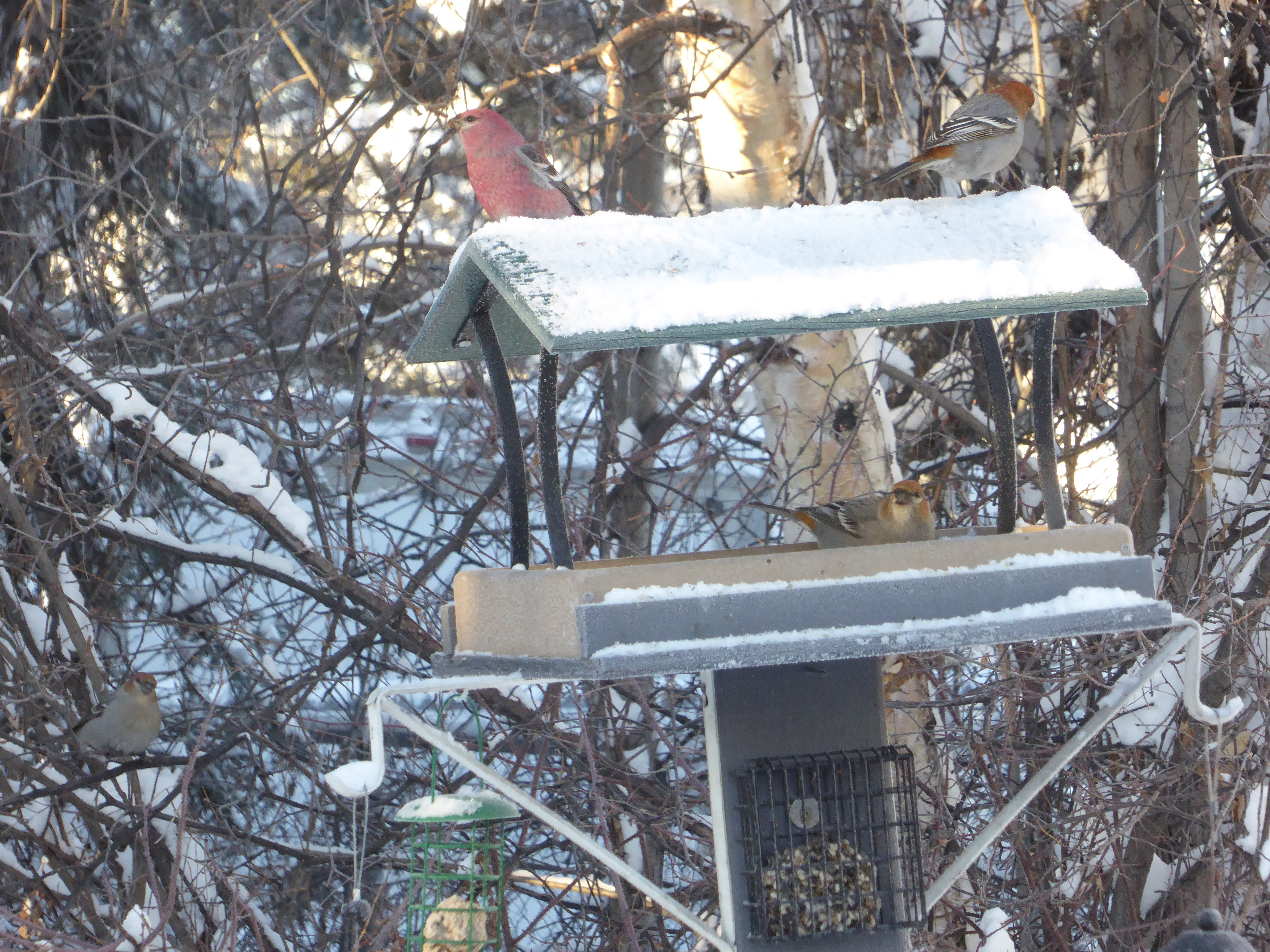 Additional Image 5