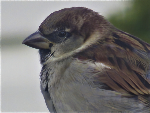Additional Image 4