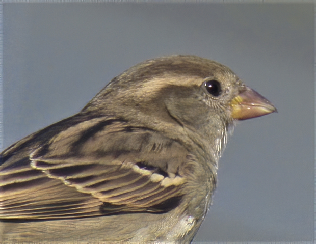 Additional Image 3