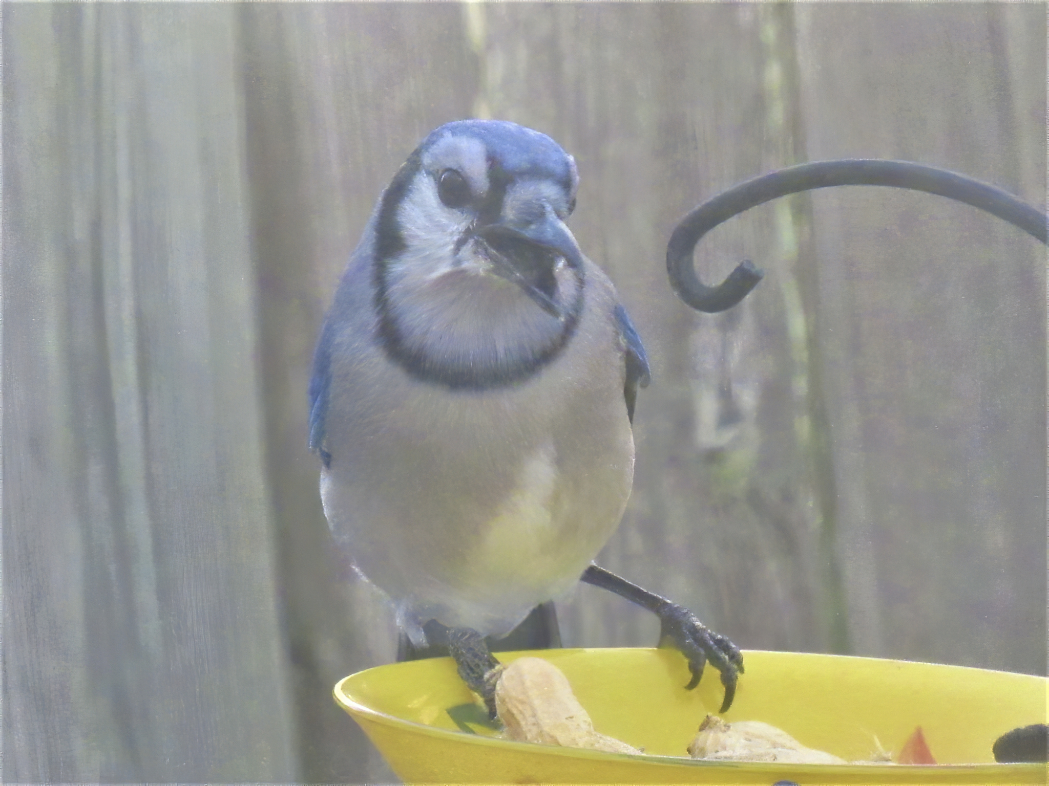 Additional Image 5