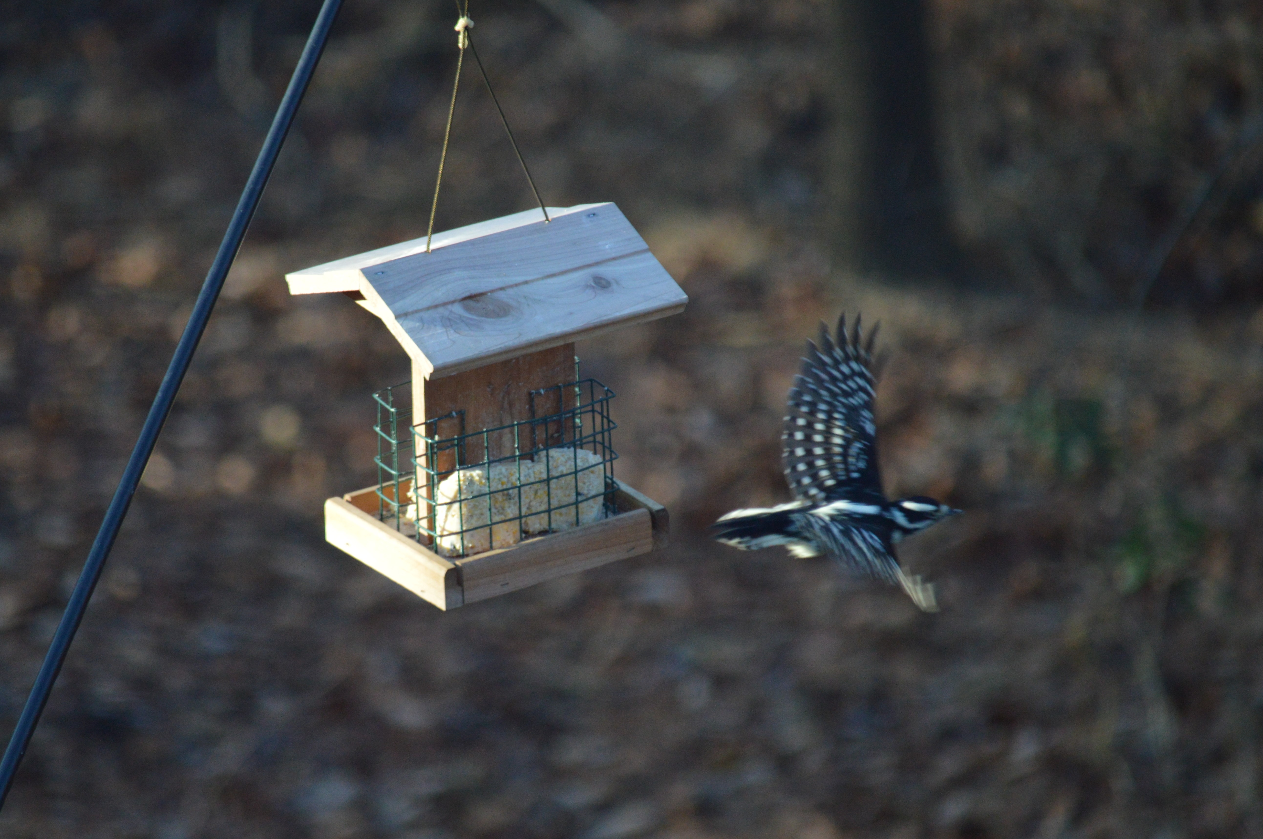 Additional Image 3