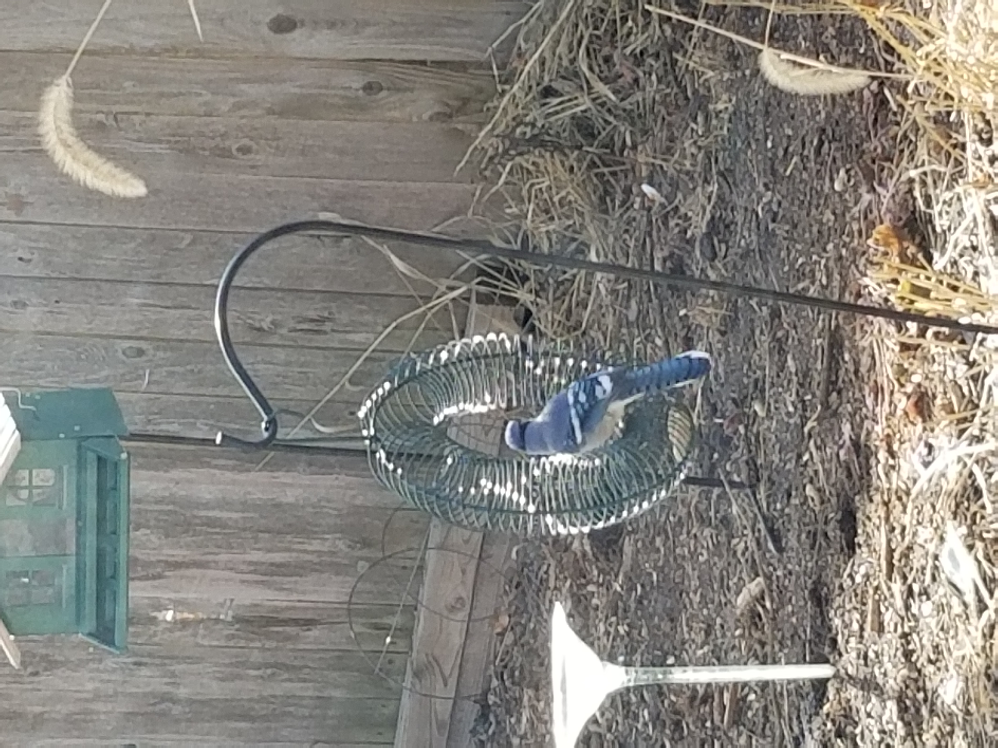 Additional Image 4