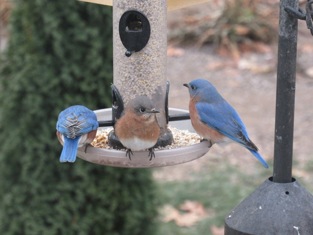 Additional Image 2