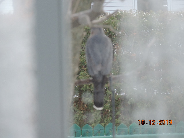 Additional Image 3