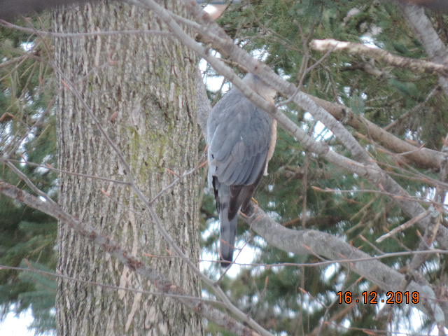 Additional Image 2