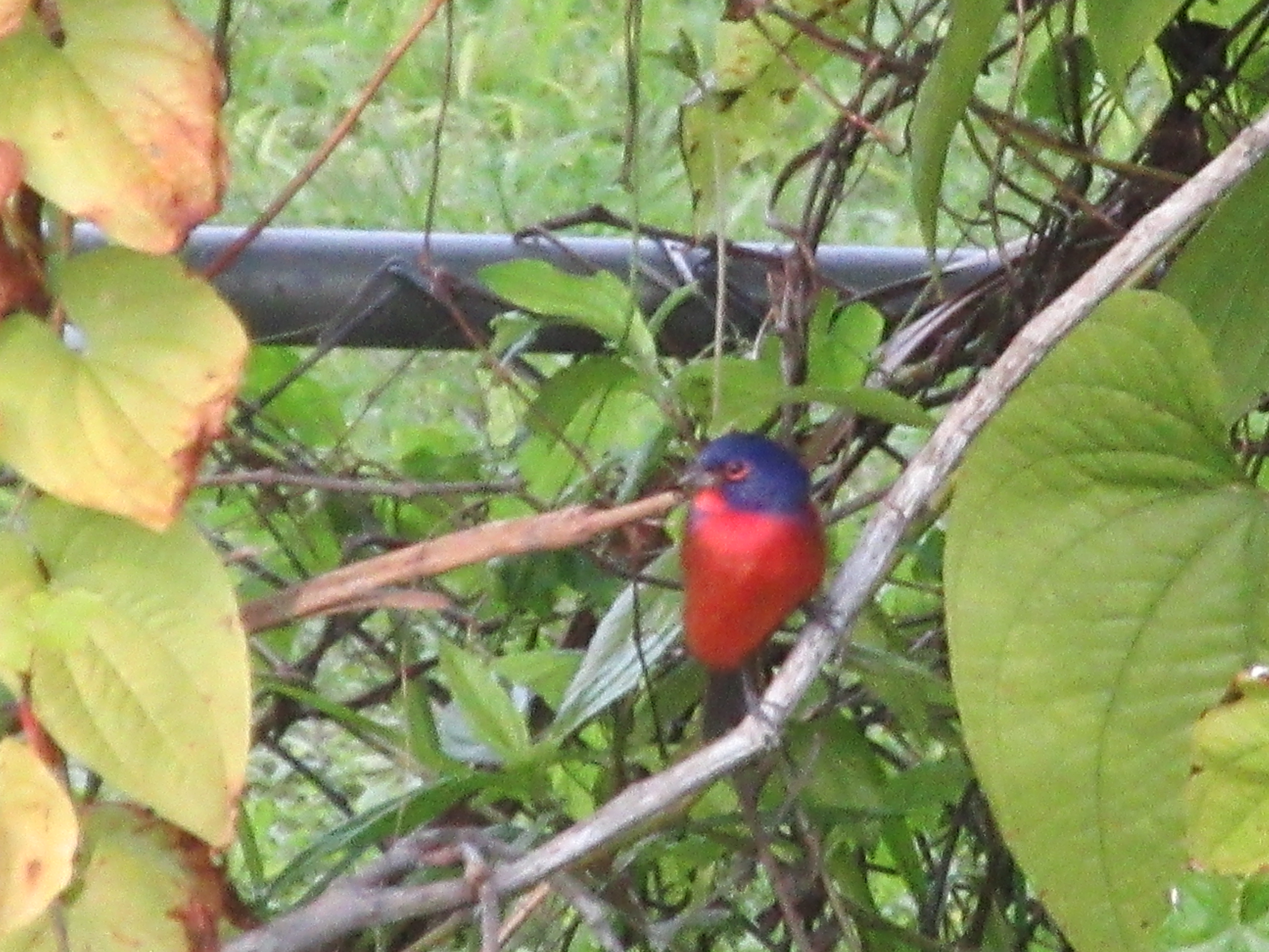 Additional Image 5