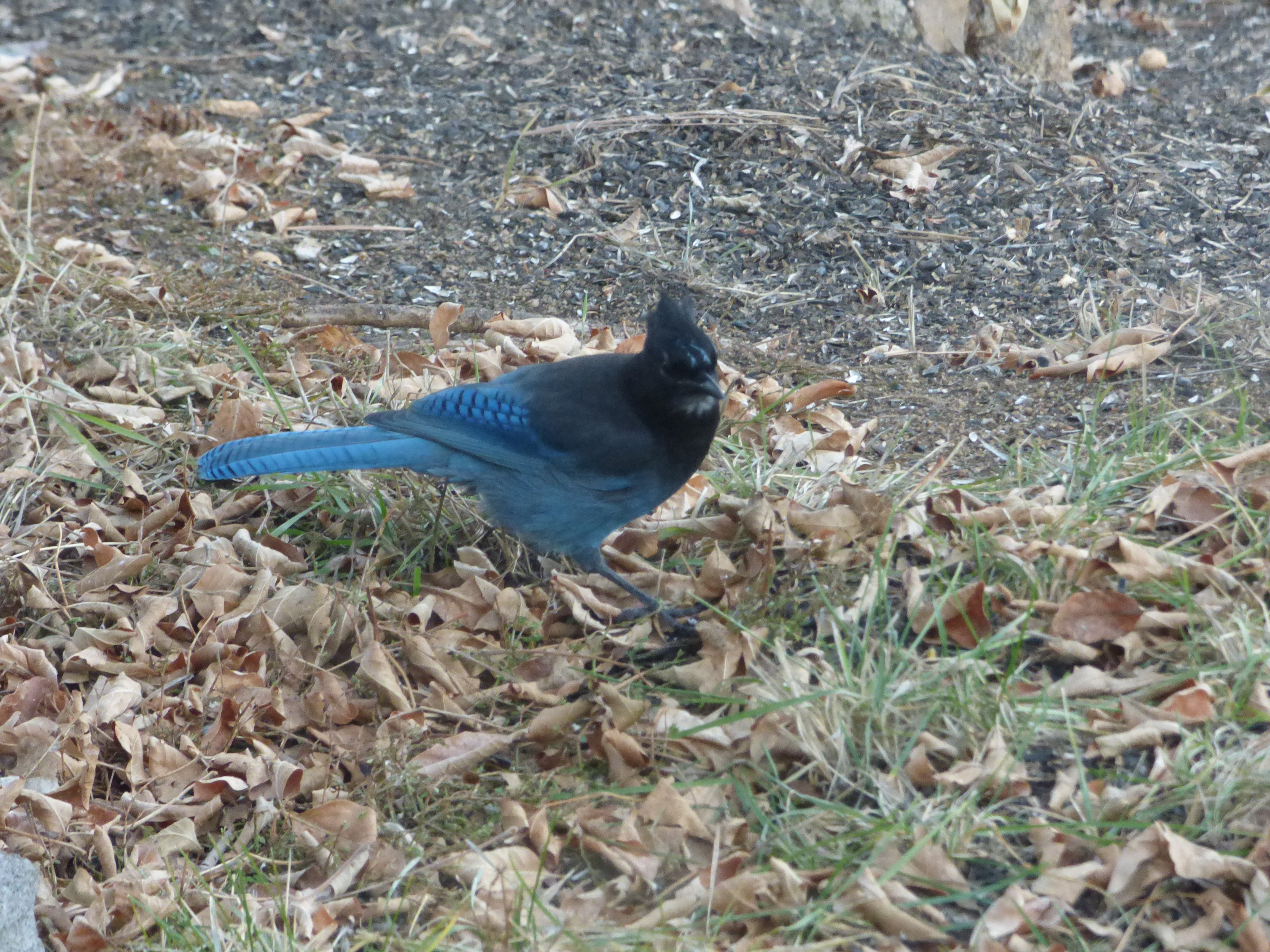 Additional Image 4