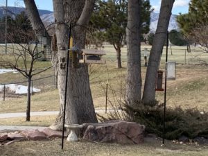 feeder set-up for columbine high school