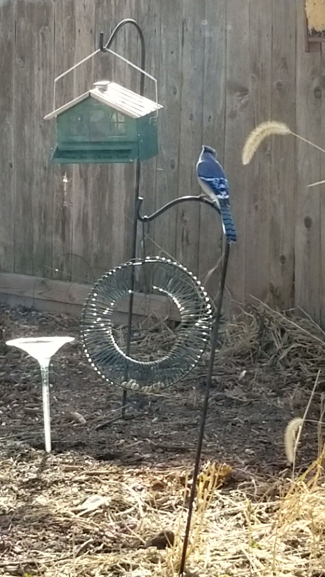 Additional Image 2