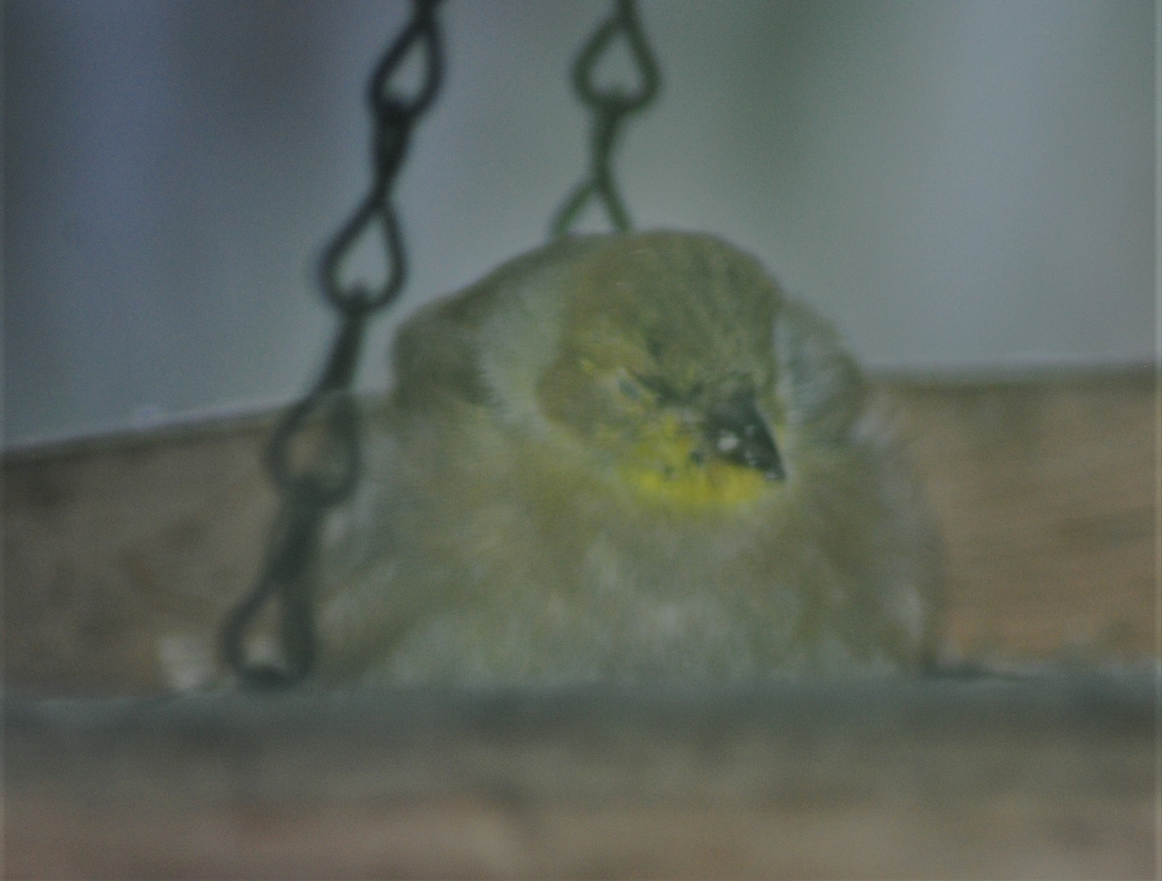 Additional Image 3