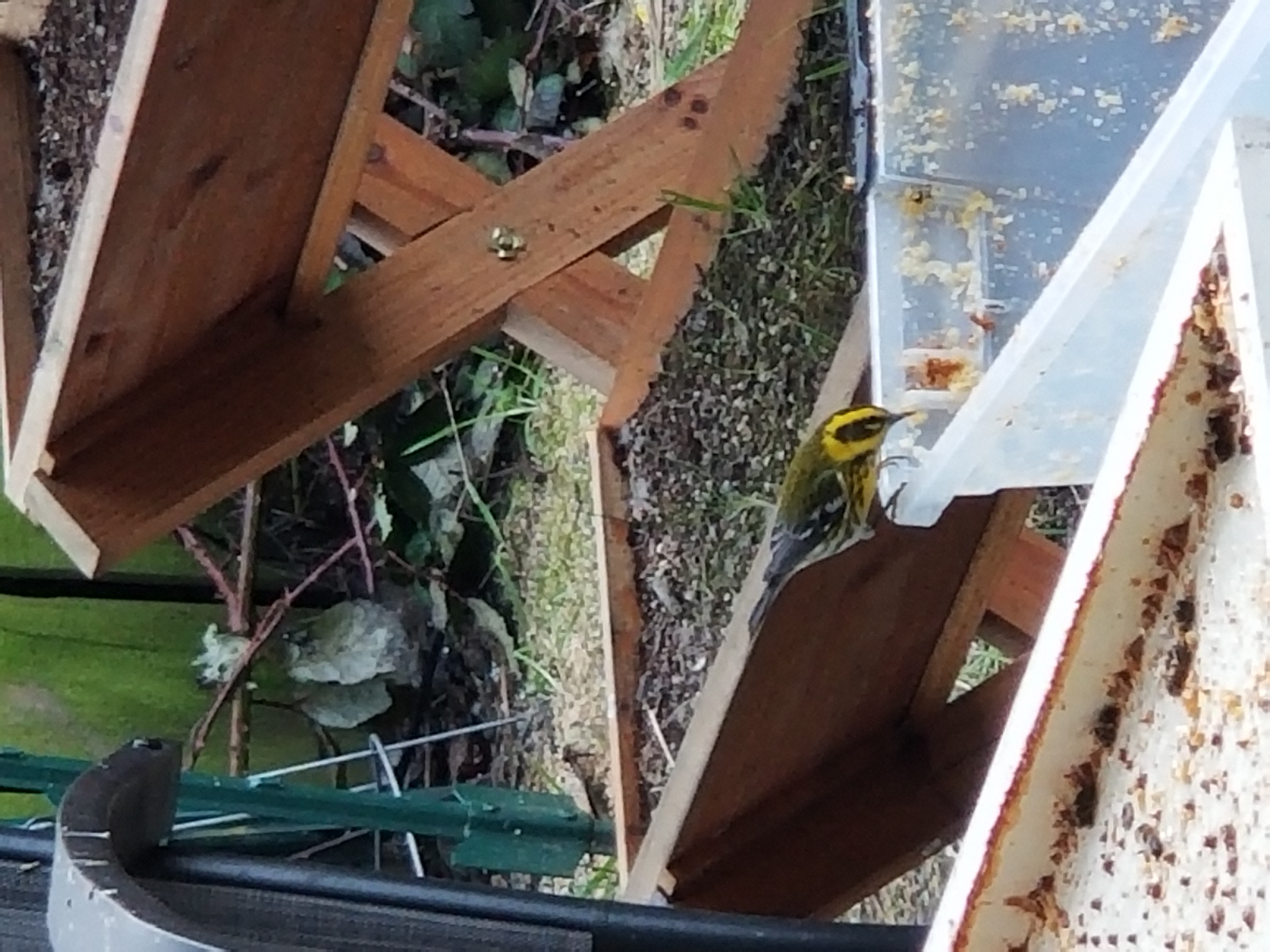 Additional Image 2