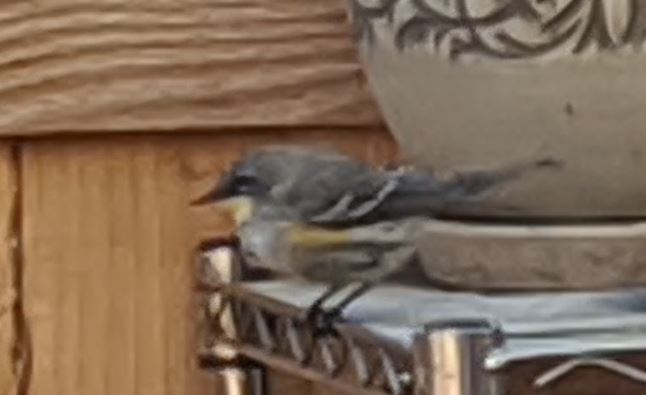 Additional Image 3