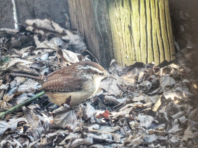 Additional Image 2