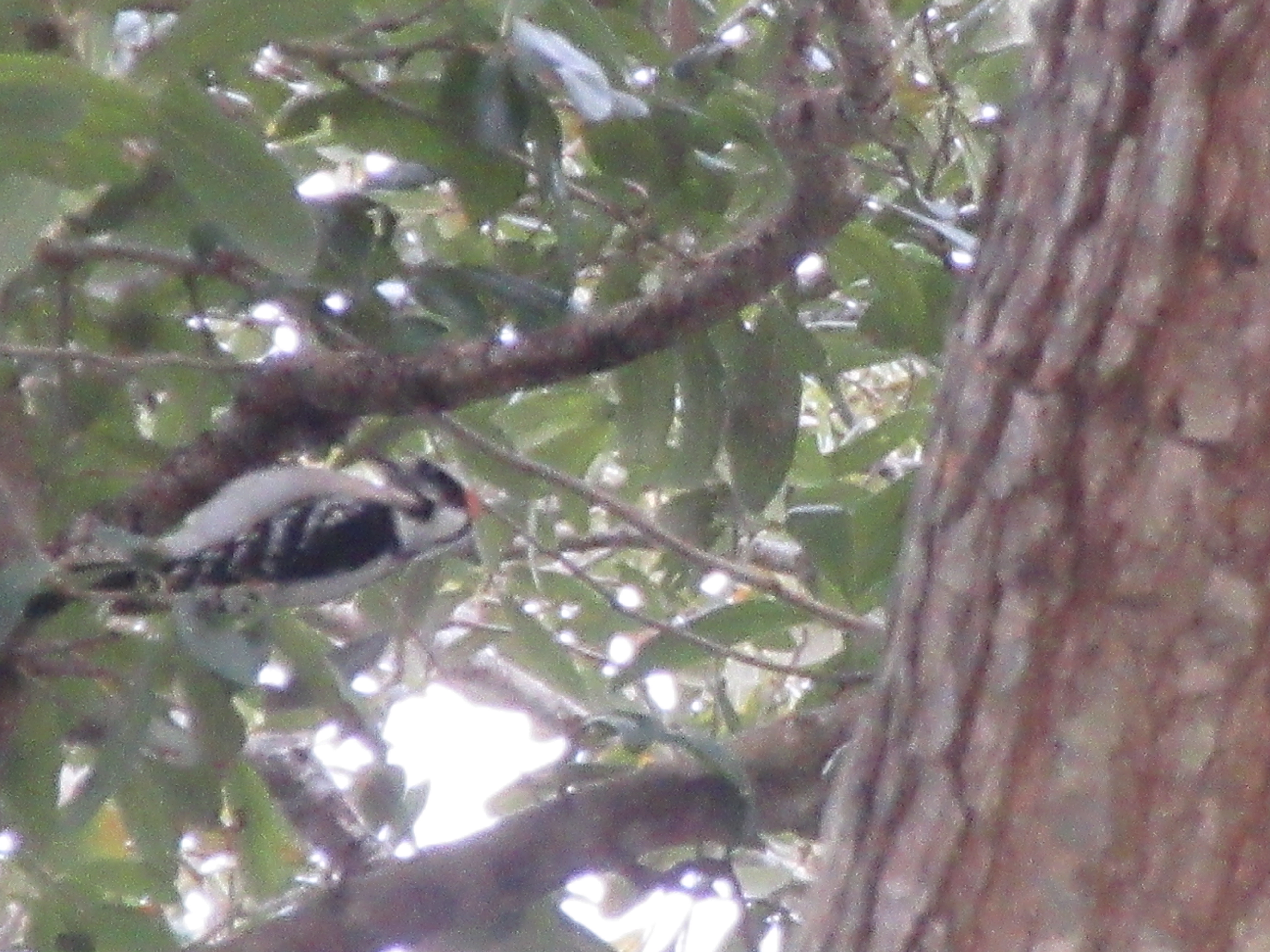 Additional Image 3